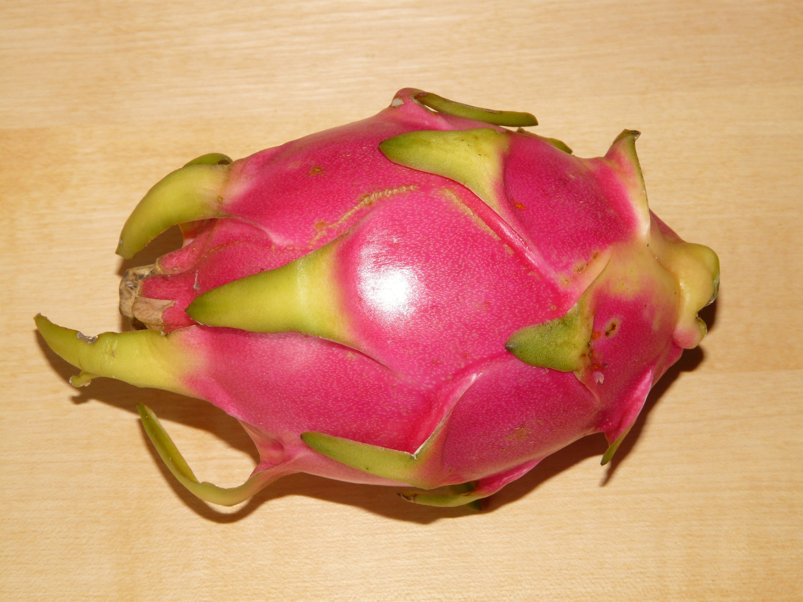 slice, high angle view, studio shot, colored background, Dragon Fruit, table, cross section, food and drink, close-up, directly above, exoticism, hylocereus monacanthus, HD Wallpaper