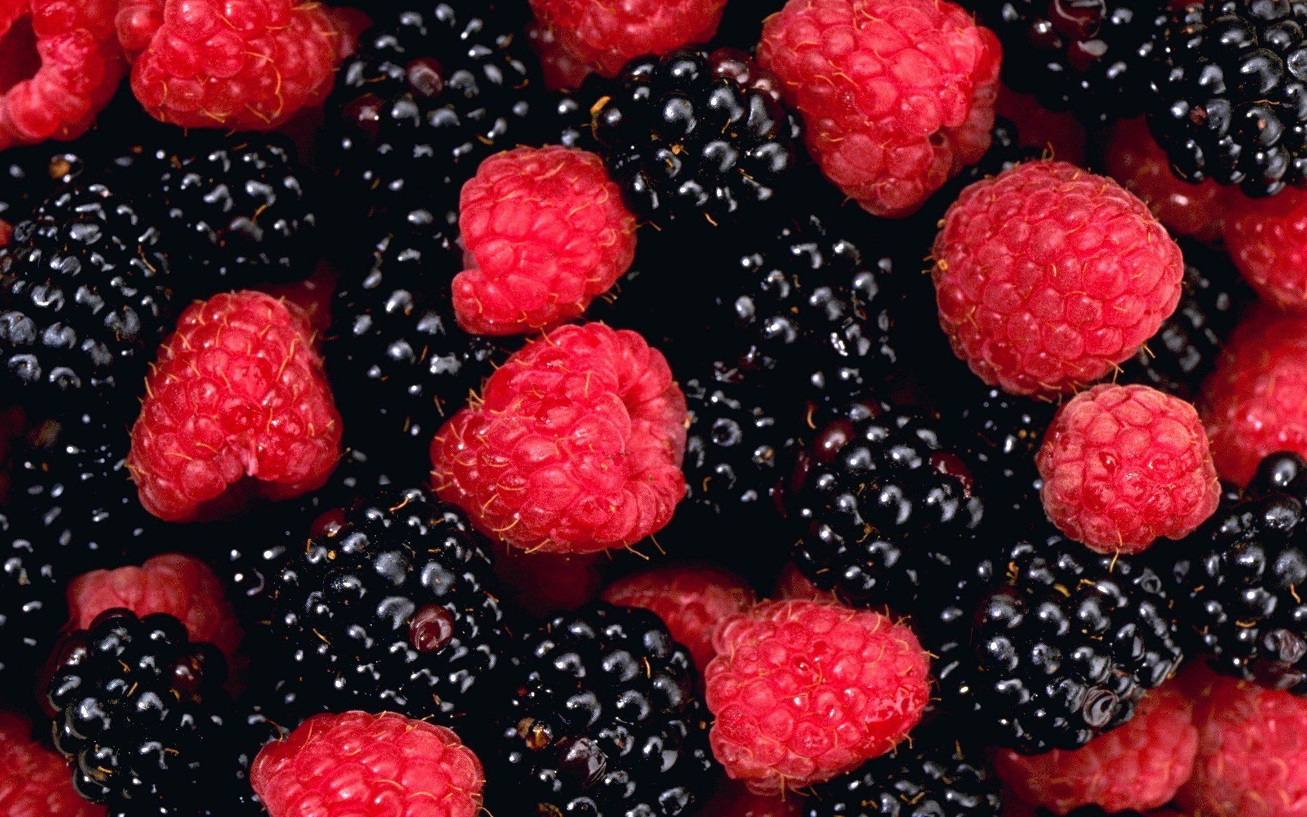 desktop, raspberries, blackberries, fruits, 2K, background, HD Wallpaper