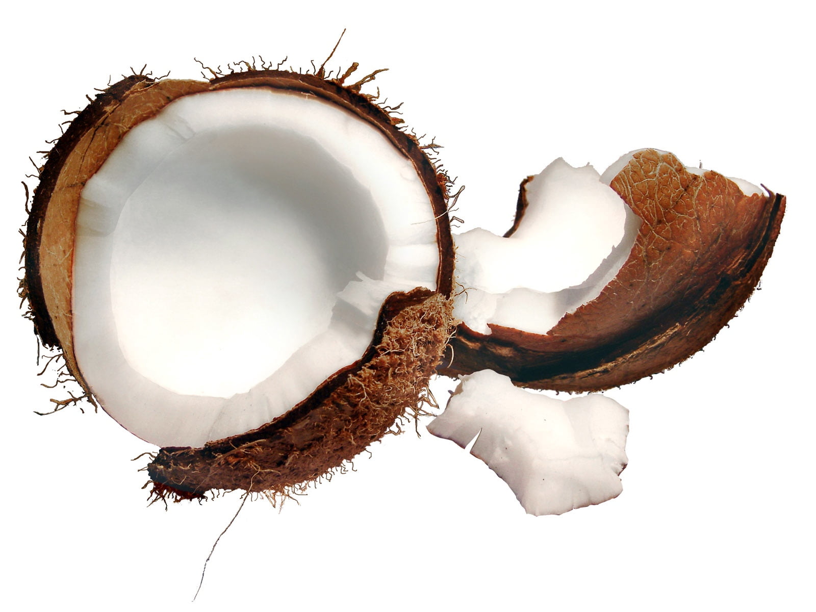 isolated On White, nut - food, indoors, no People, macro, food and drink, close-up, sliced, freshness, fruit, healthy eating, white, nature, isolated, two objects, HD Wallpaper