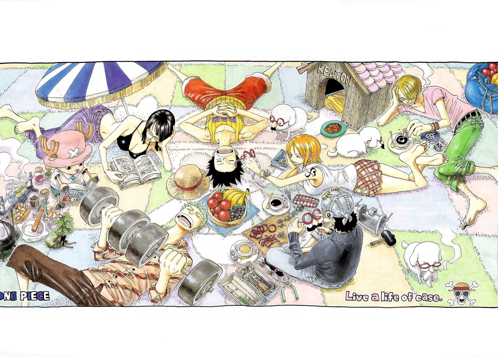 close-up, still life, representation, Nico Robin, art, abundance, Monkey D. Luffy, animal wildlife, no people, group of animals, high angle view, anime, HD Wallpaper