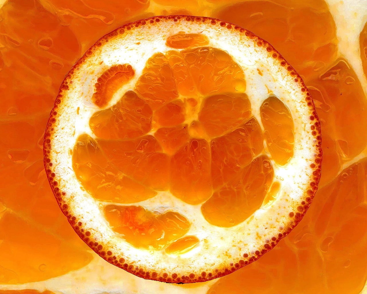 eating, fruit, shape, refreshment, no People, circle, backgrounds, orange - Fruit, close-up, food And Drink, cross Section, freshness, wellbeing, organic, HD Wallpaper