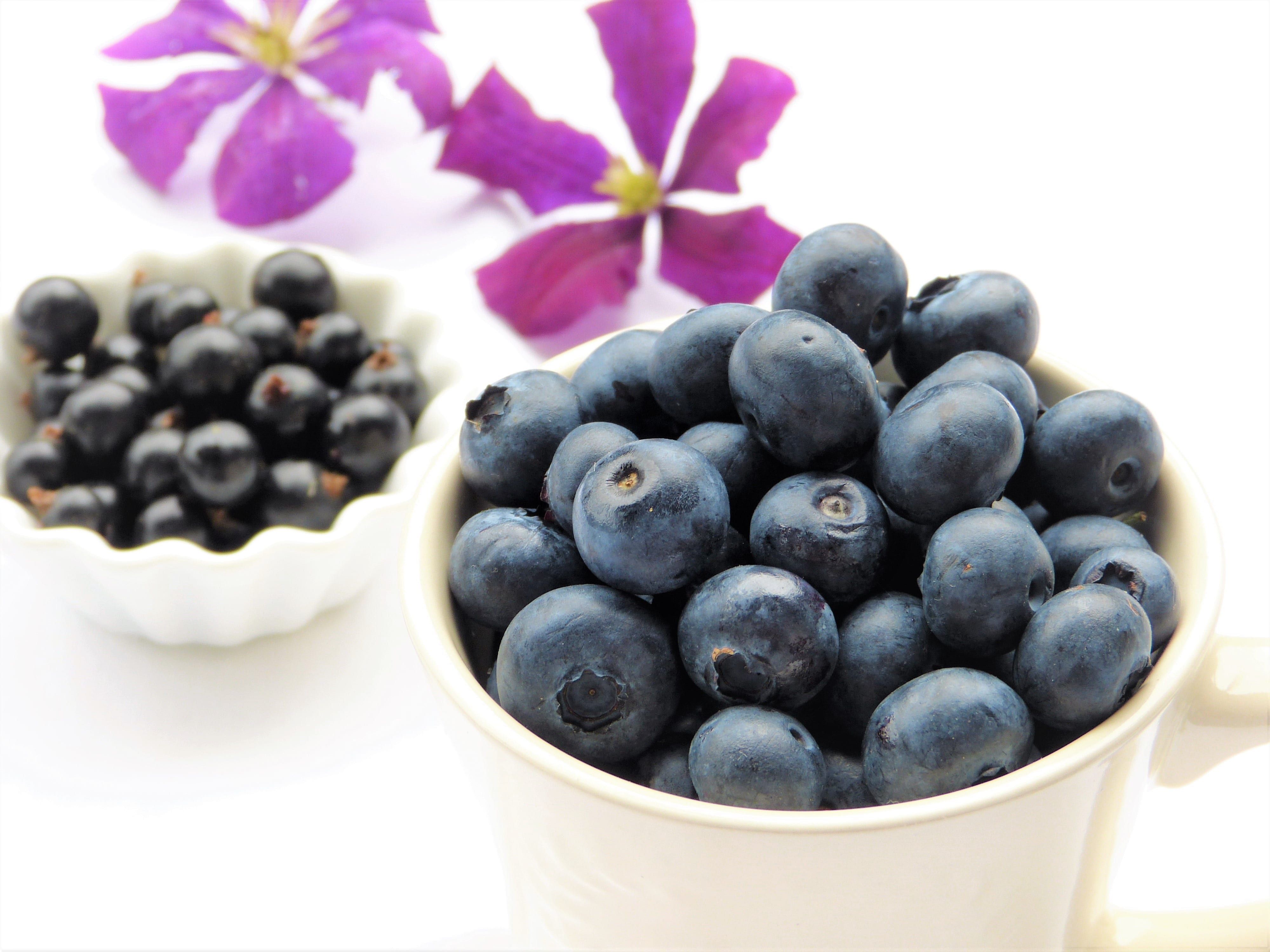 berry fruit, detox, black currants, grape, wellbeing, aware, purple, blackberries, fructose, fruits, blue, healthy eating, still life, clematis, freshness, HD Wallpaper
