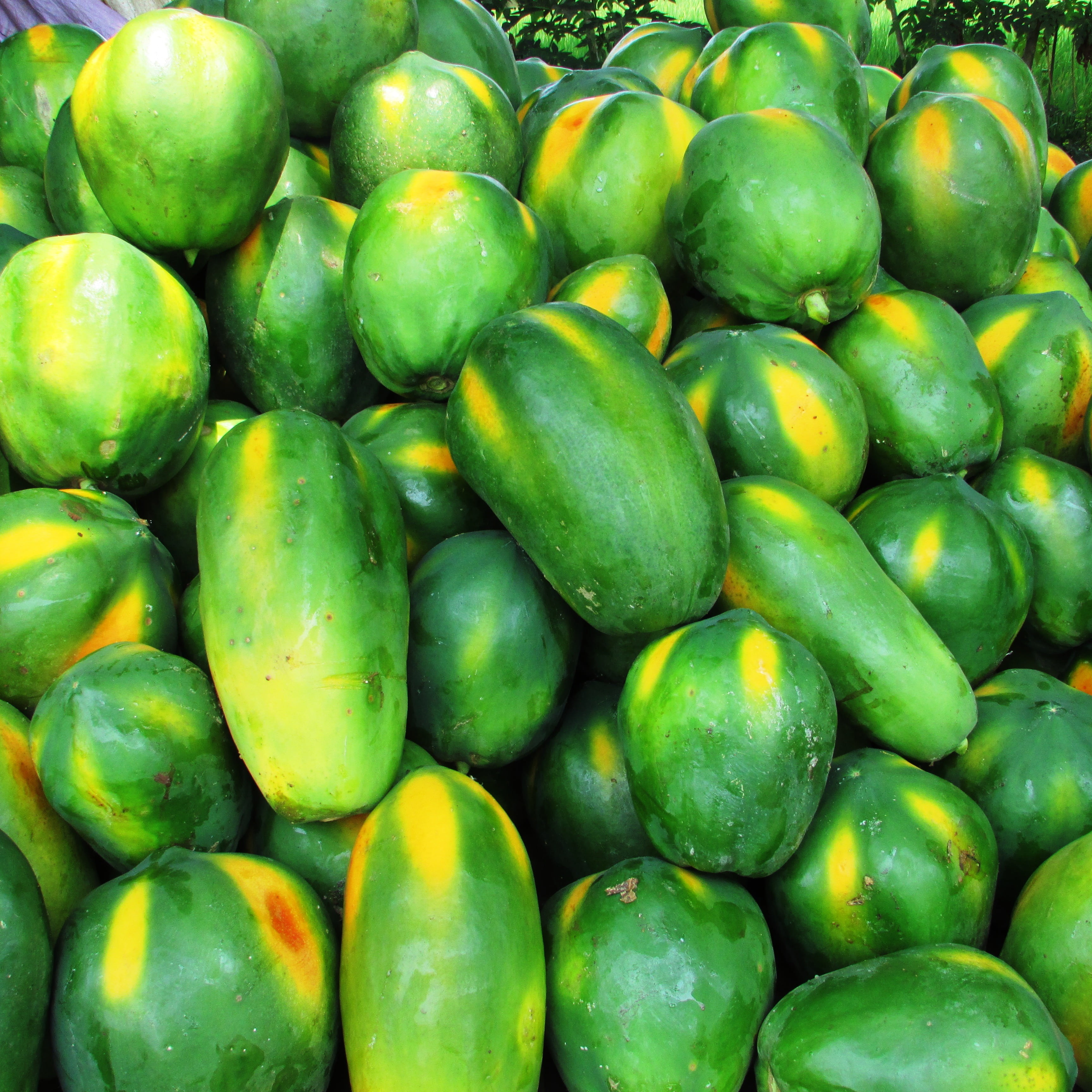 food, large group of objects, for sale, day, market stall, close-up, green, malebennur, fruit, backgrounds, heap, exotic, market, green color, ripe, freshness, Phone HD Wallpaper
