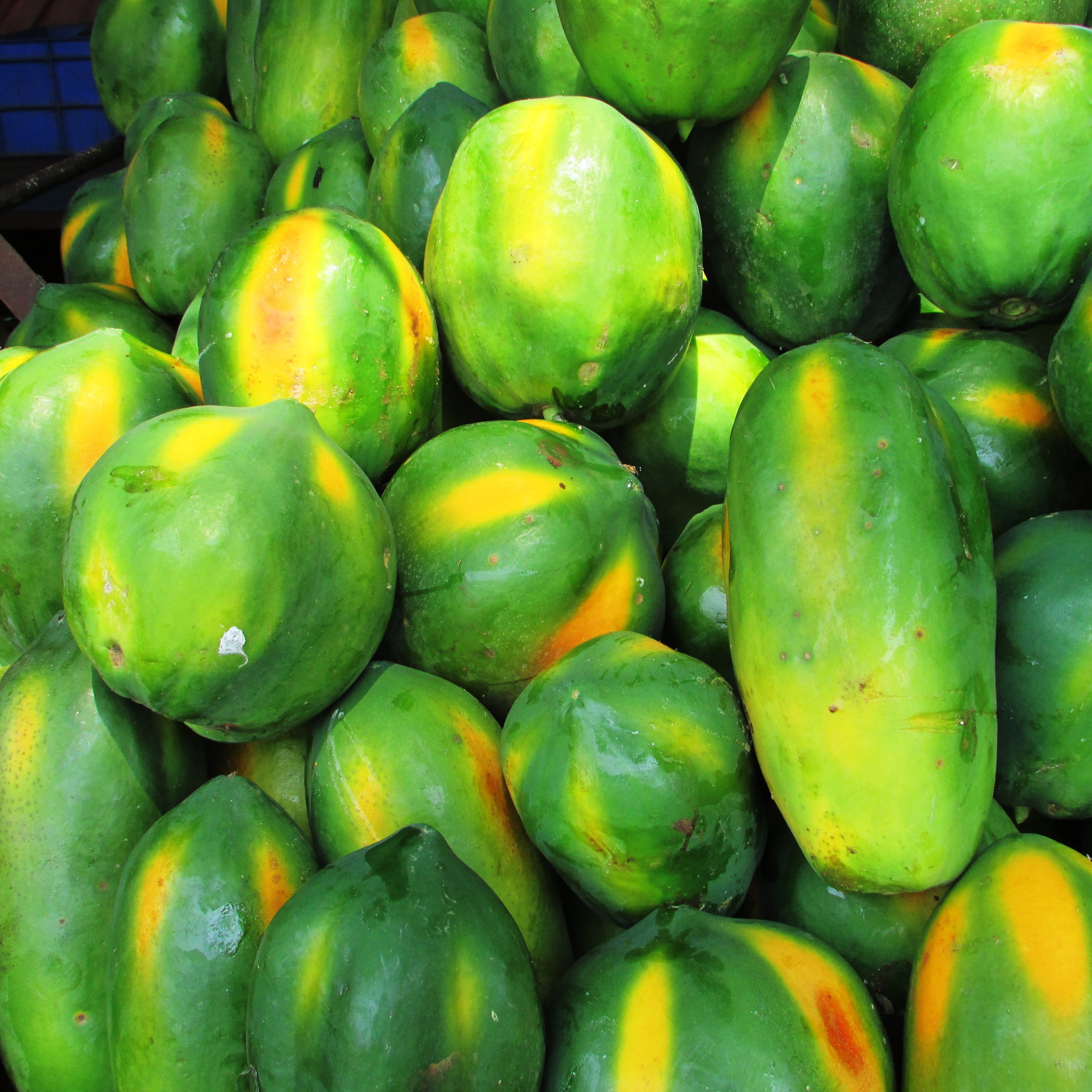 for sale, day, outdoors, full frame, ripe, freshness, small business, no people, fruit, retail display, still life, green, healthy eating, malebennur, wellbeing, Phone HD Wallpaper