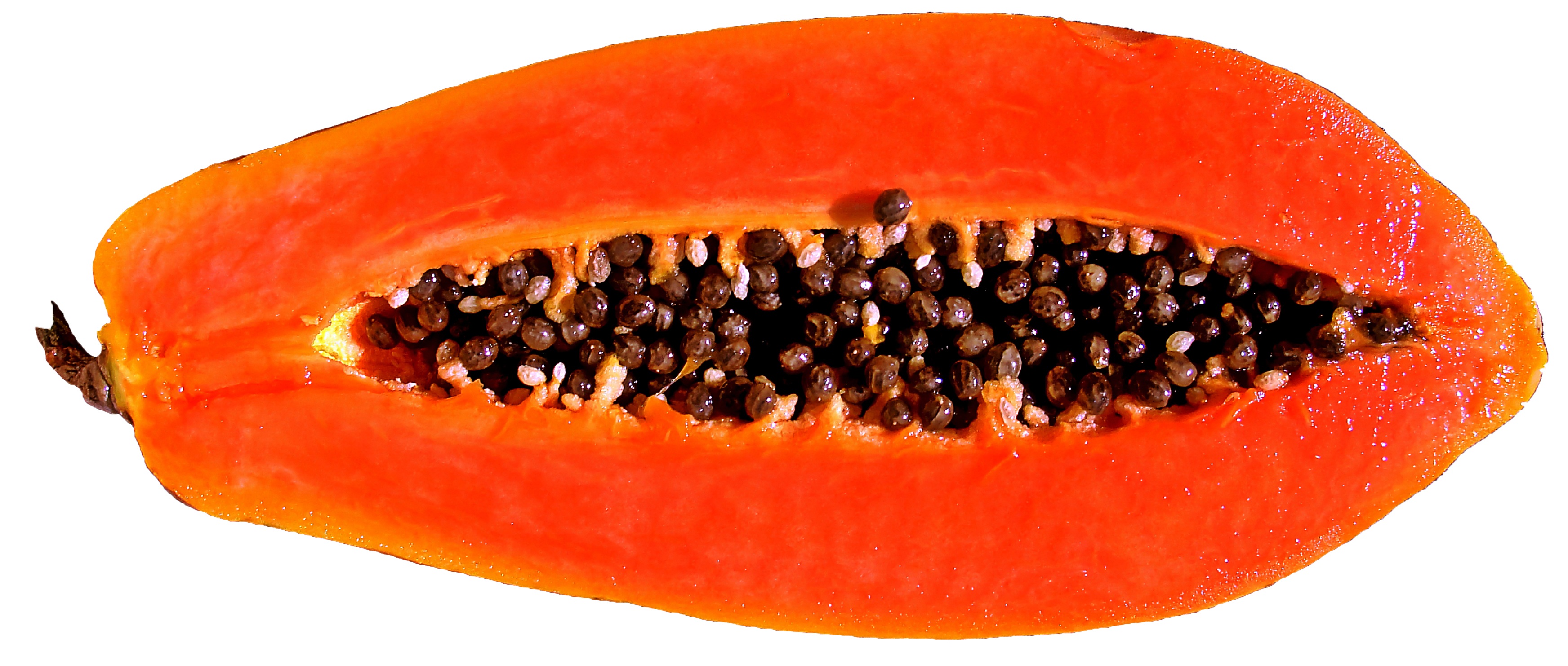 fruit, papaya, healthy Eating, cut out, isolated, slice, freshness, alim, juicy, cross Section, studio shot, red, organic, food, tropical fruit, food and drink, HD Wallpaper