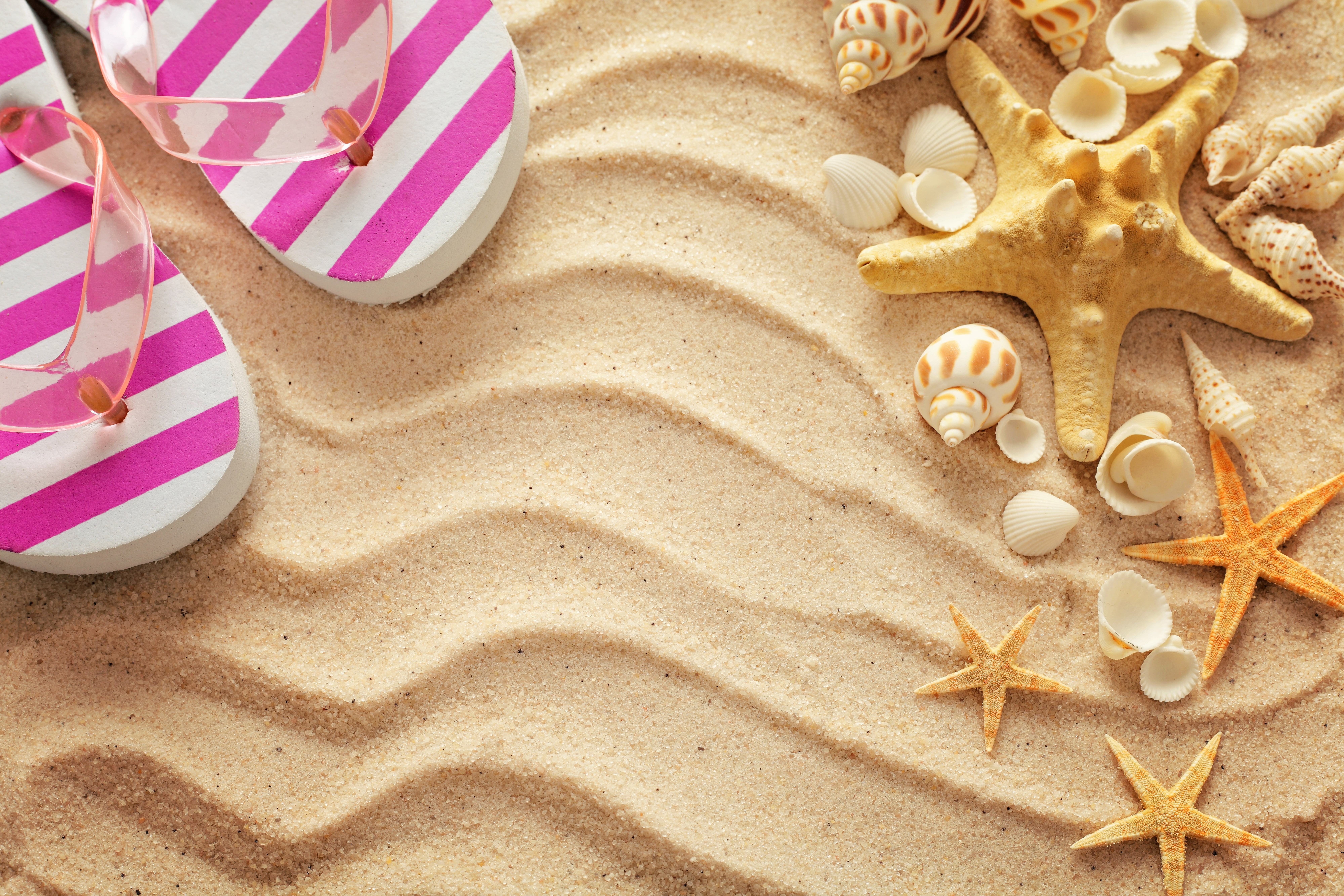 shell, sand, vacation, starfish, stay, 8K, slates, seashells, beach, summer, HD Wallpaper