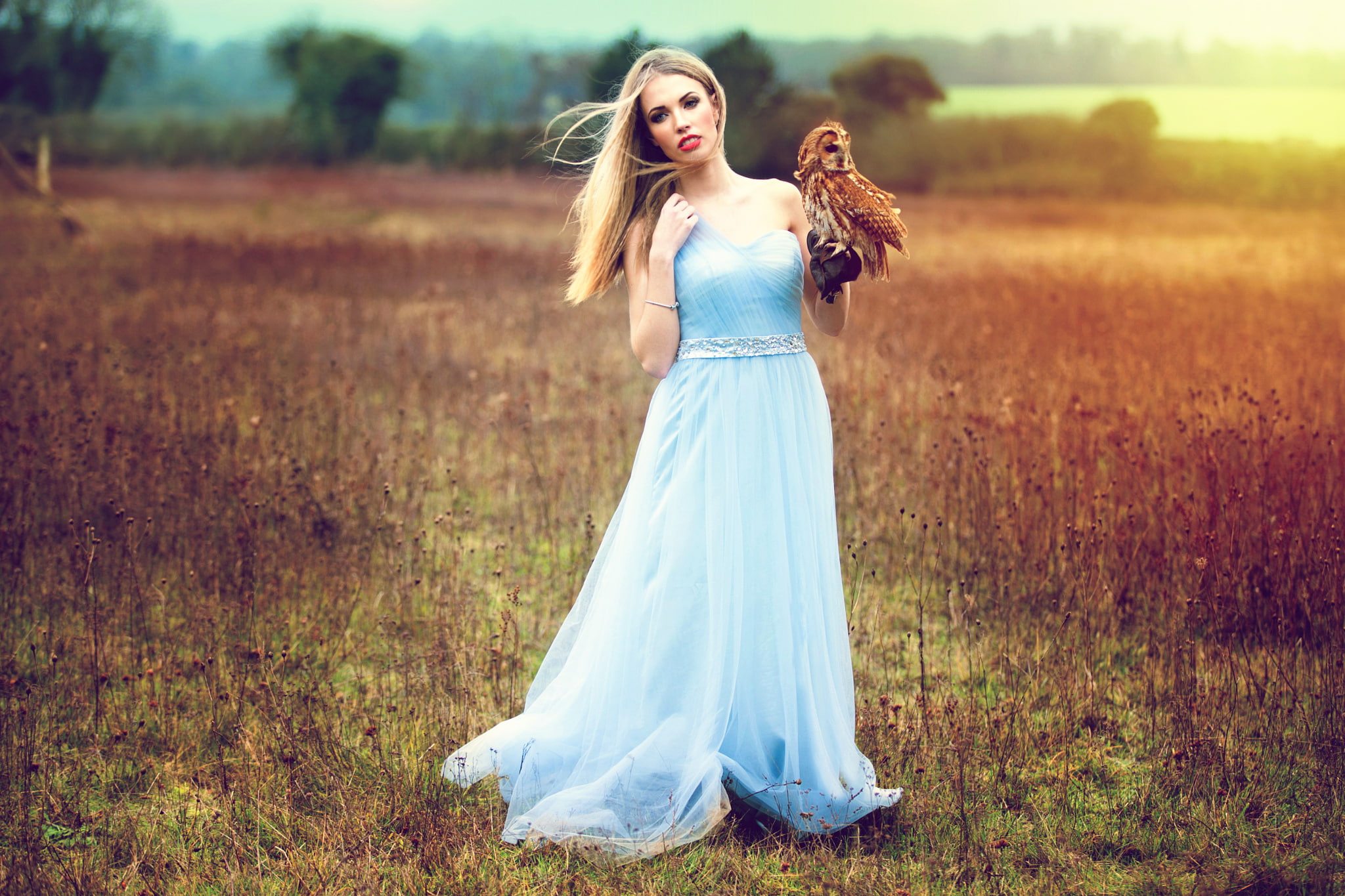 1080P, girl, dress, Inese Stoner, Athene, owl, HD Wallpaper