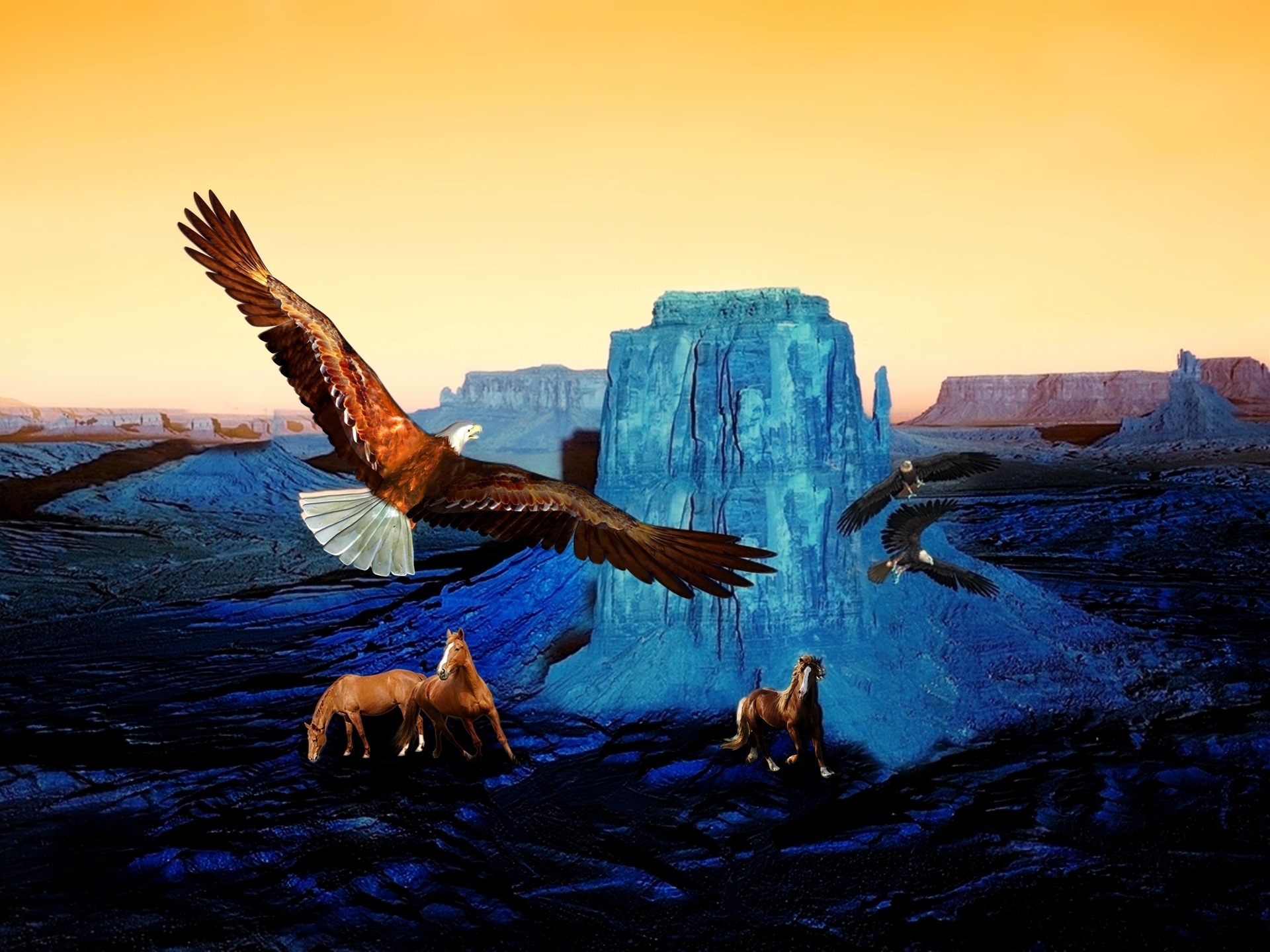 water, outdoors, group of animals, spread wings, nature, beauty in nature, animal, sky, sunset, vertebrate, rocks, horses, desert, landscape, flying, aridity, HD Wallpaper