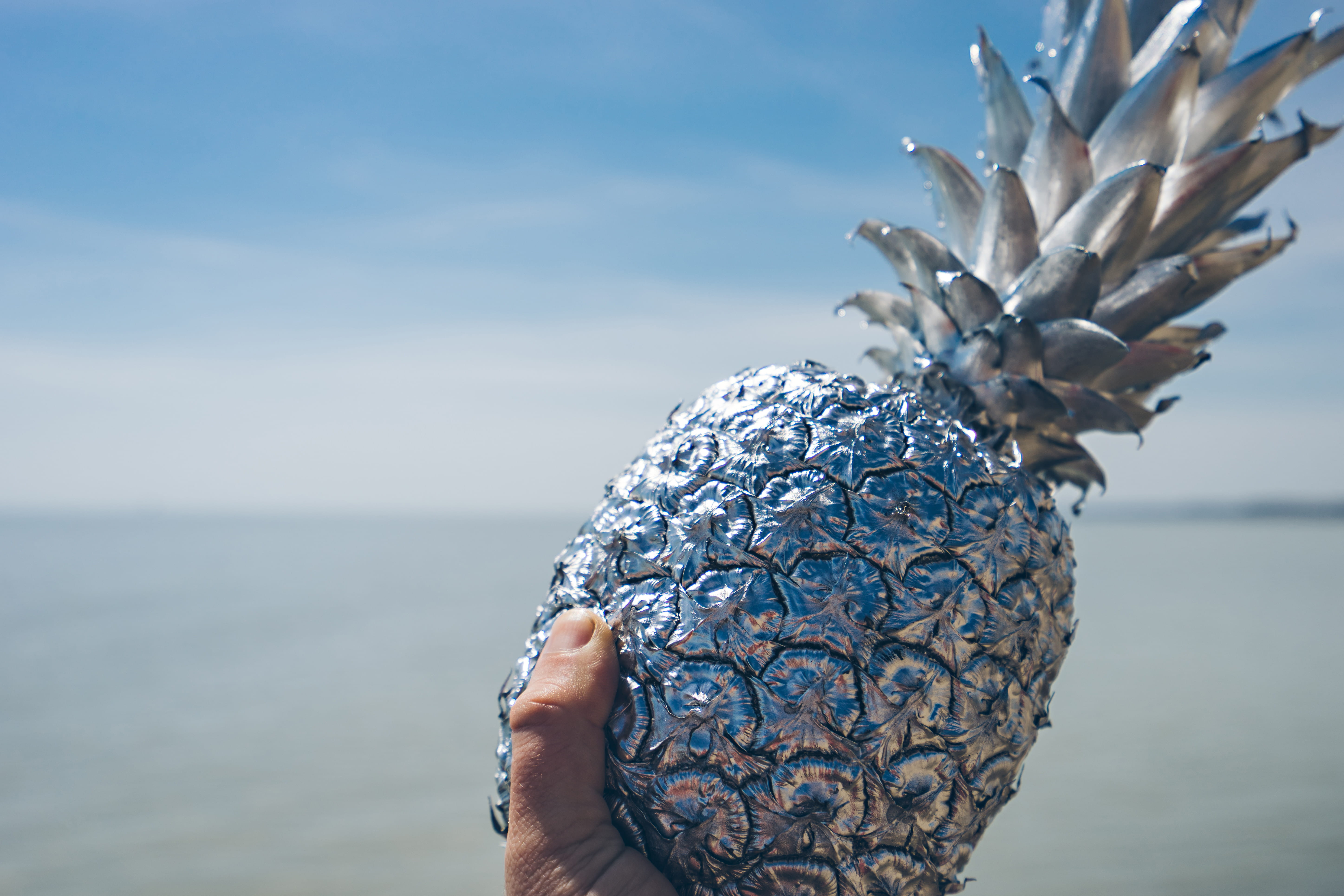 silver, focus on foreground, human limb, port stanley, summer, nature, random, plant, close-up, sea, human hand, artificial, water, tree, day, beach, canada, HD Wallpaper