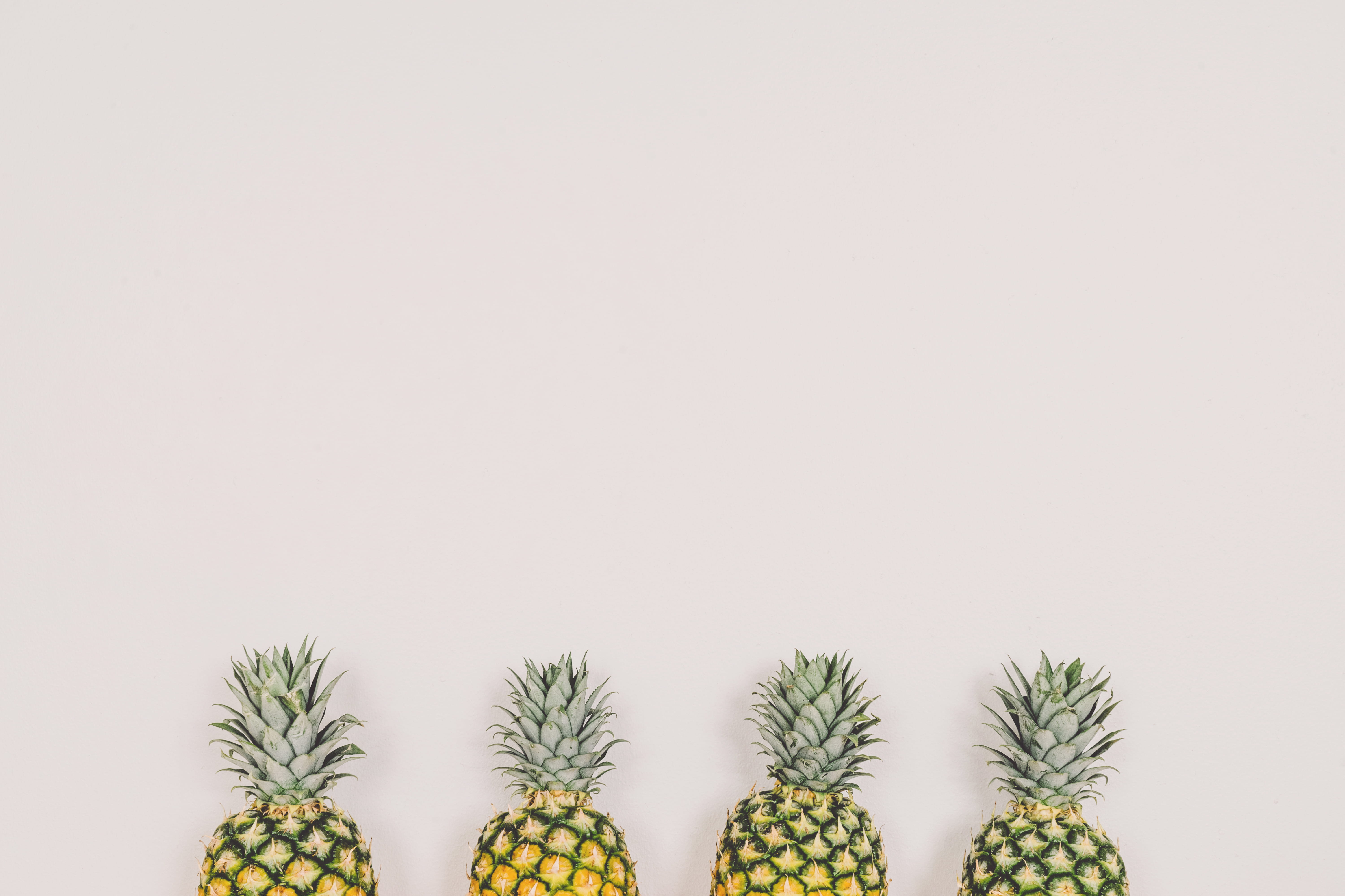 background, spiked, side by side, indoors, copy space, fruits, vegetarian Food, group of objects, 5K, freshness, food, organic, succulent plant, flower, HD Wallpaper