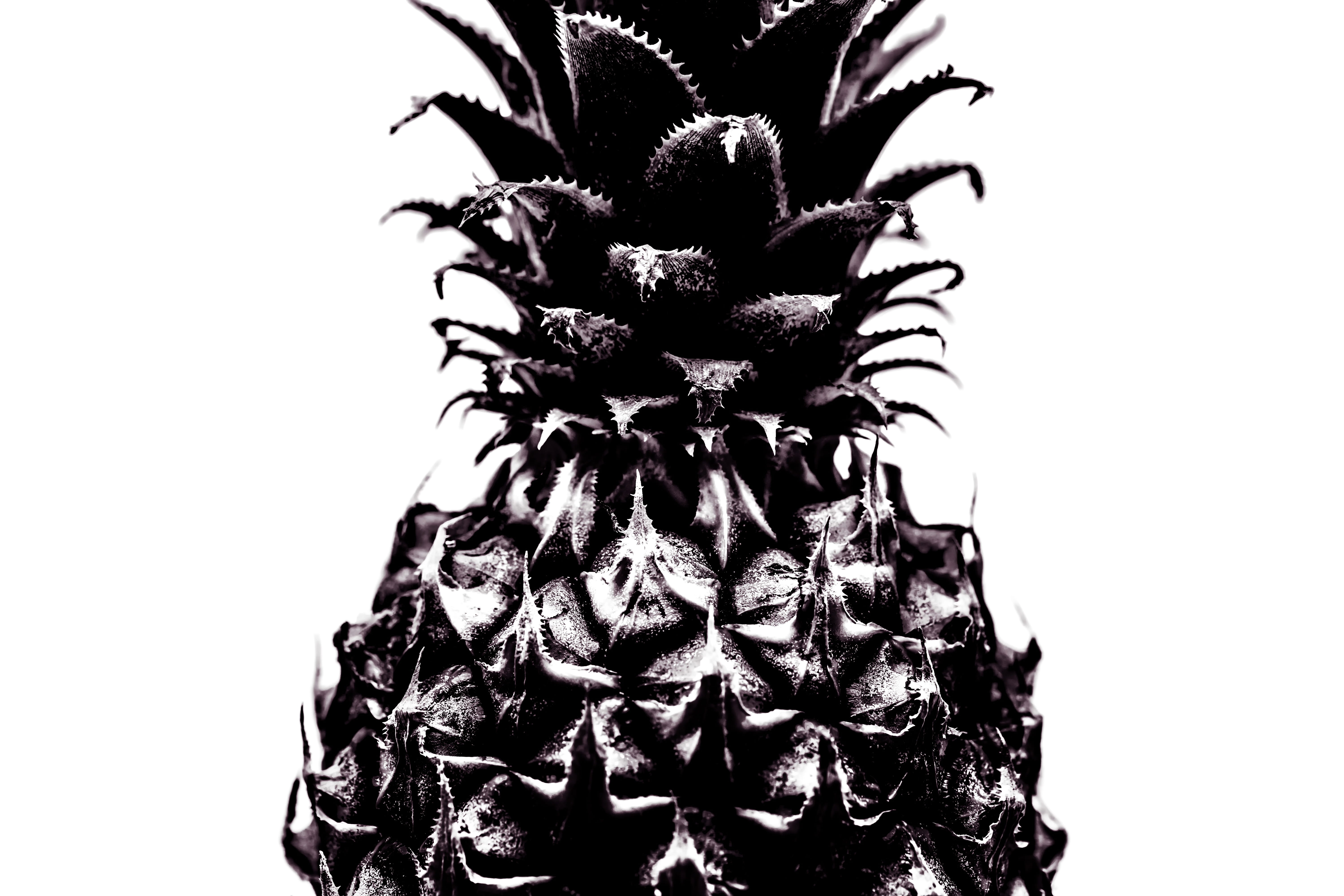 juicy, macro, monochrome, still life, background, pineapple, 5K, object, freshness, raw, negative, plant, pattern, copy space, tropical fruit, food, gray, HD Wallpaper
