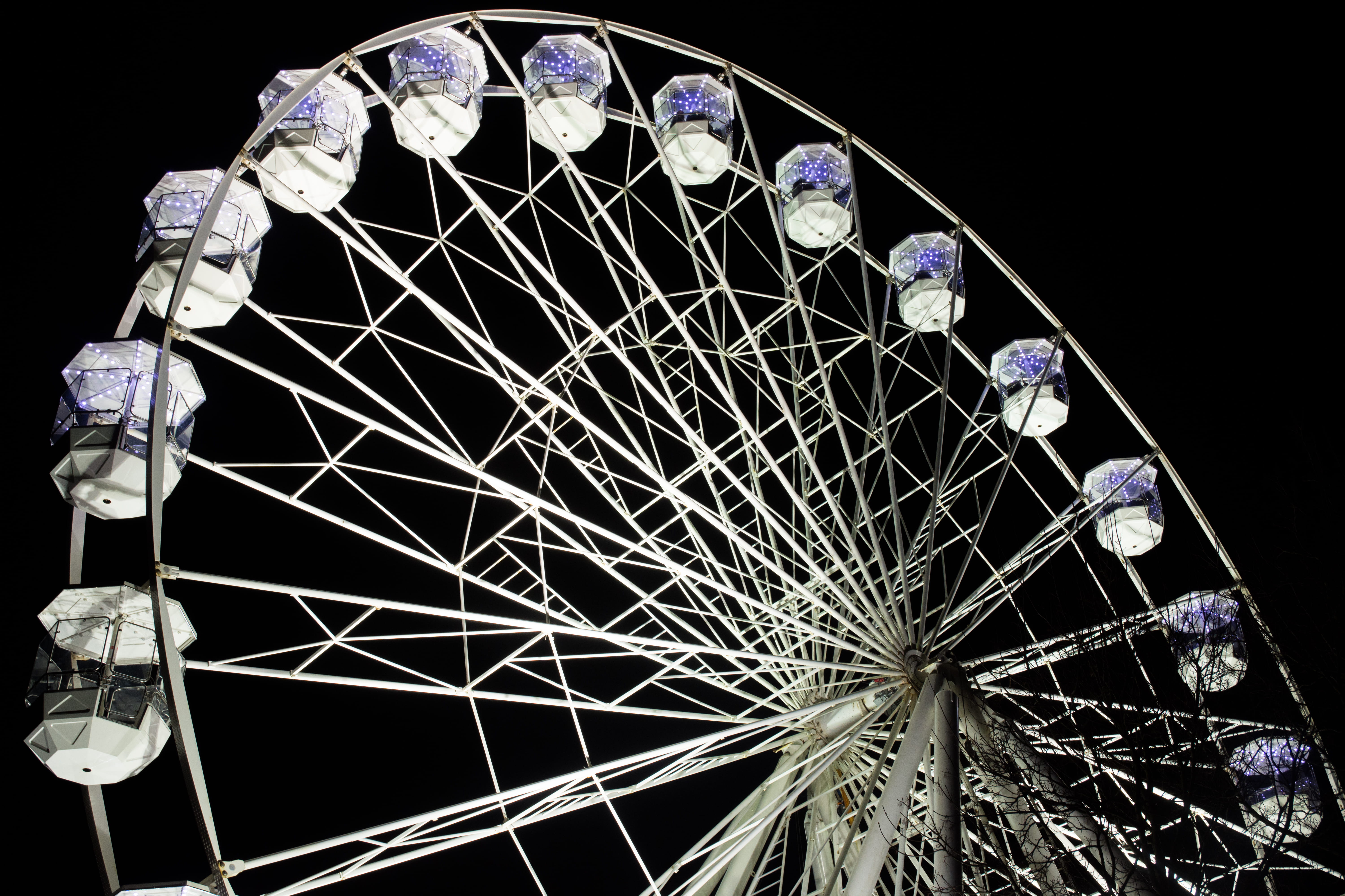 amusement park ride, spoke, large, low angle view, nature, geometric shape, theme park, blossom, circle, fairground, Ferris Wheel, space, plant, outer space, HD Wallpaper
