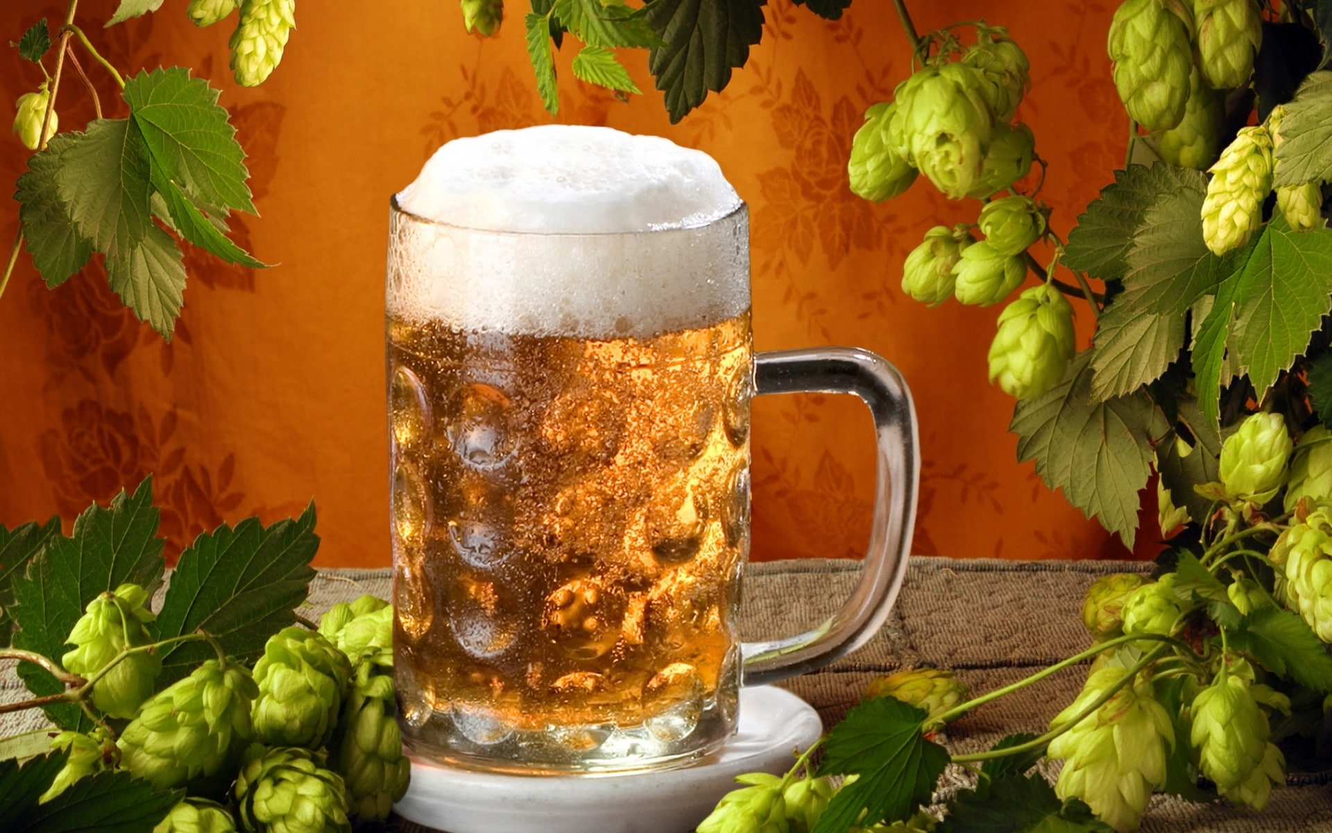 cerveza, vidrio, lupulu, plantas, jarra, 1080P, HD Wallpaper