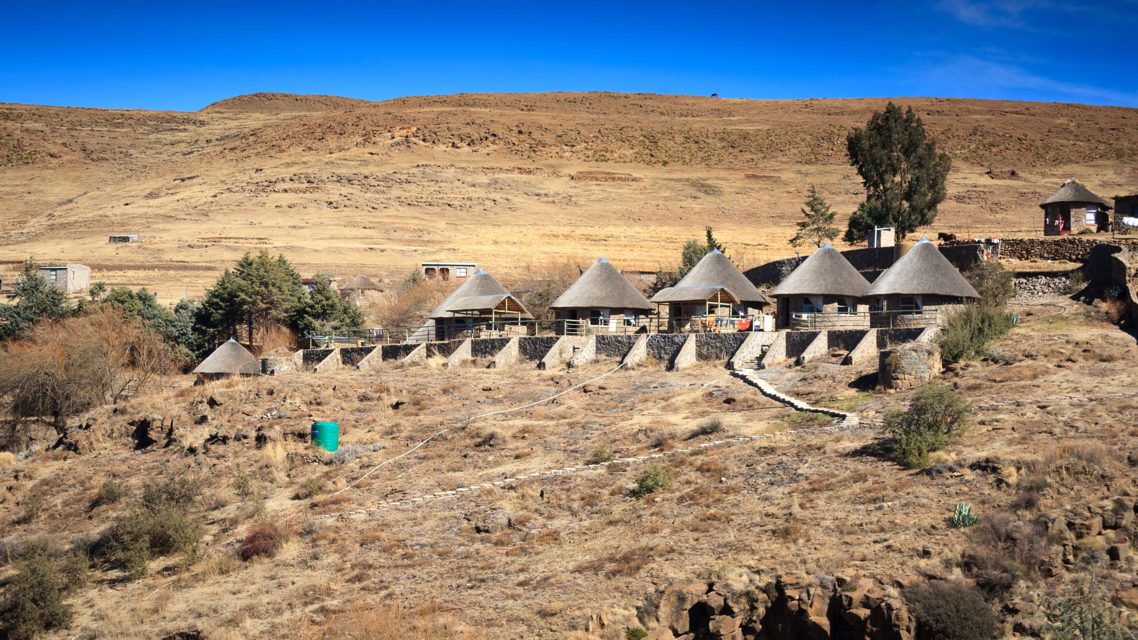 tree, climate, mountains, group of animals, sky, lesotho, deserted, built structure, no people, land, nature, mammal, day, field, animal, outdoors, building exterior, HD Wallpaper