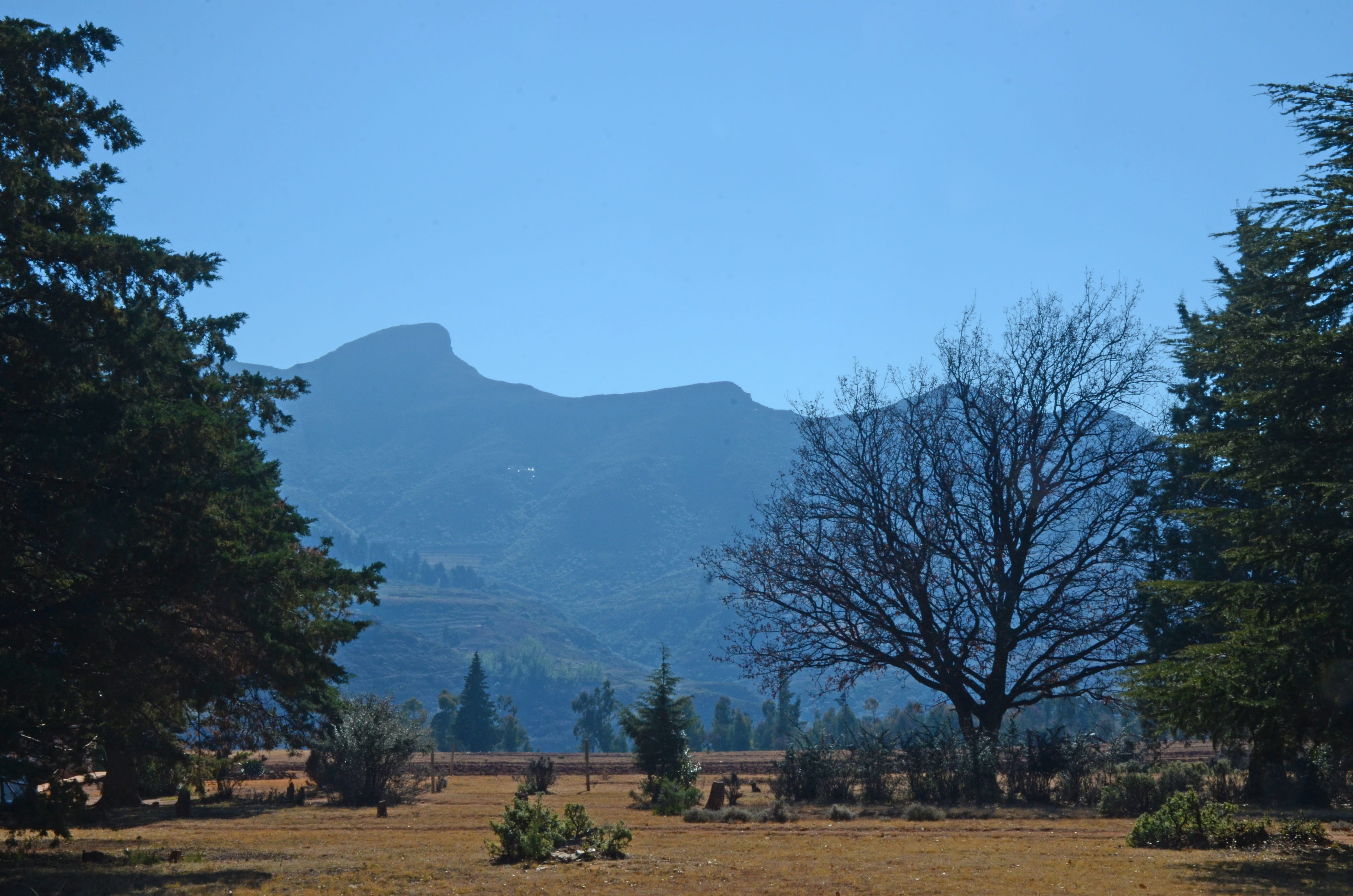 no people, clear sky, scenics - nature, nature, beauty in nature, landscape, tree, 4K, blue, outdoor, non-urban scene, mountain, day, lesotho, scenic, HD Wallpaper