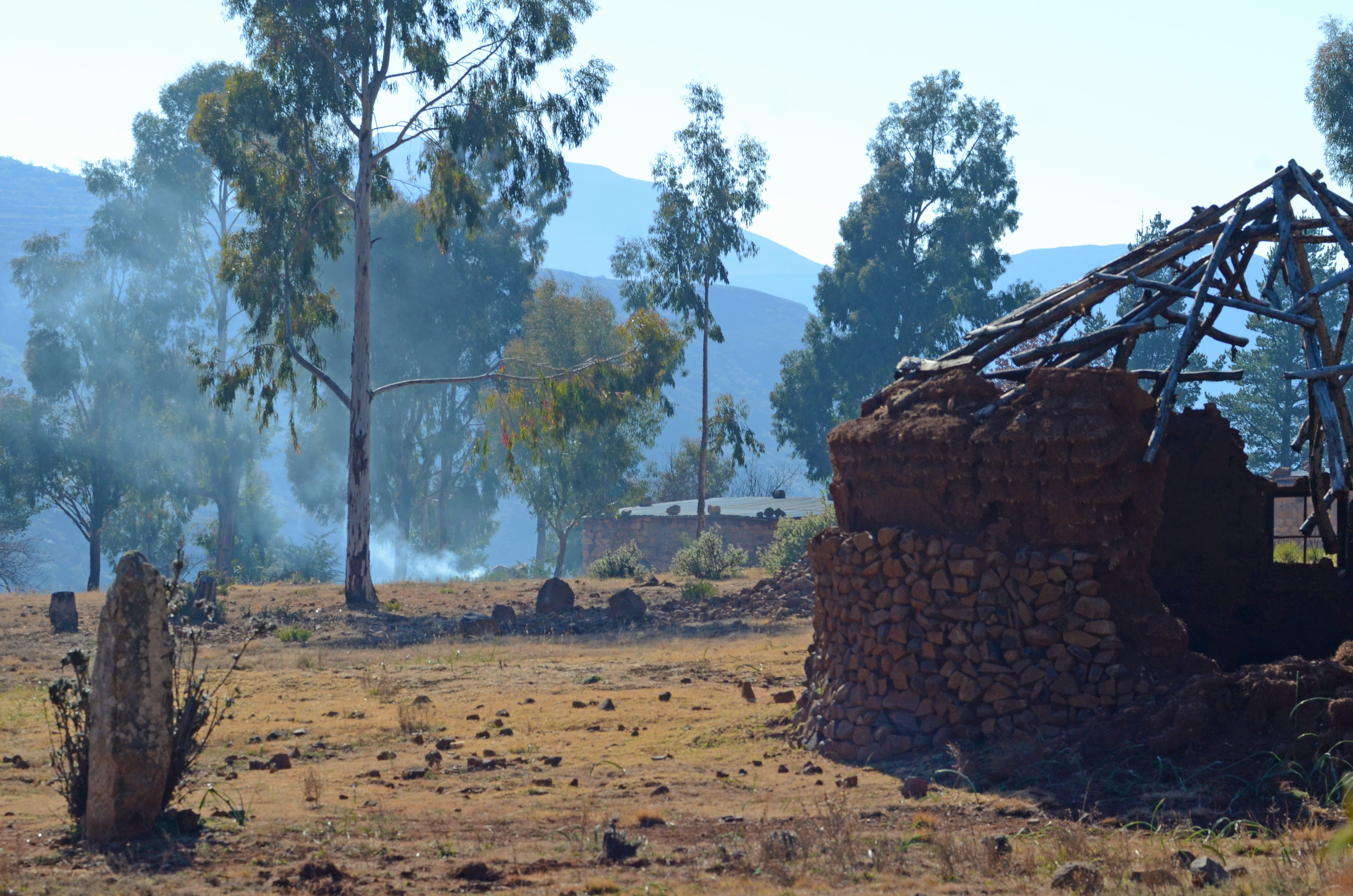 damaged, non-urban scene, environmental issues, no people, nature, deforestation, hut, abandoned, environment, plant, day, land, africa, outdoors, trees, HD Wallpaper