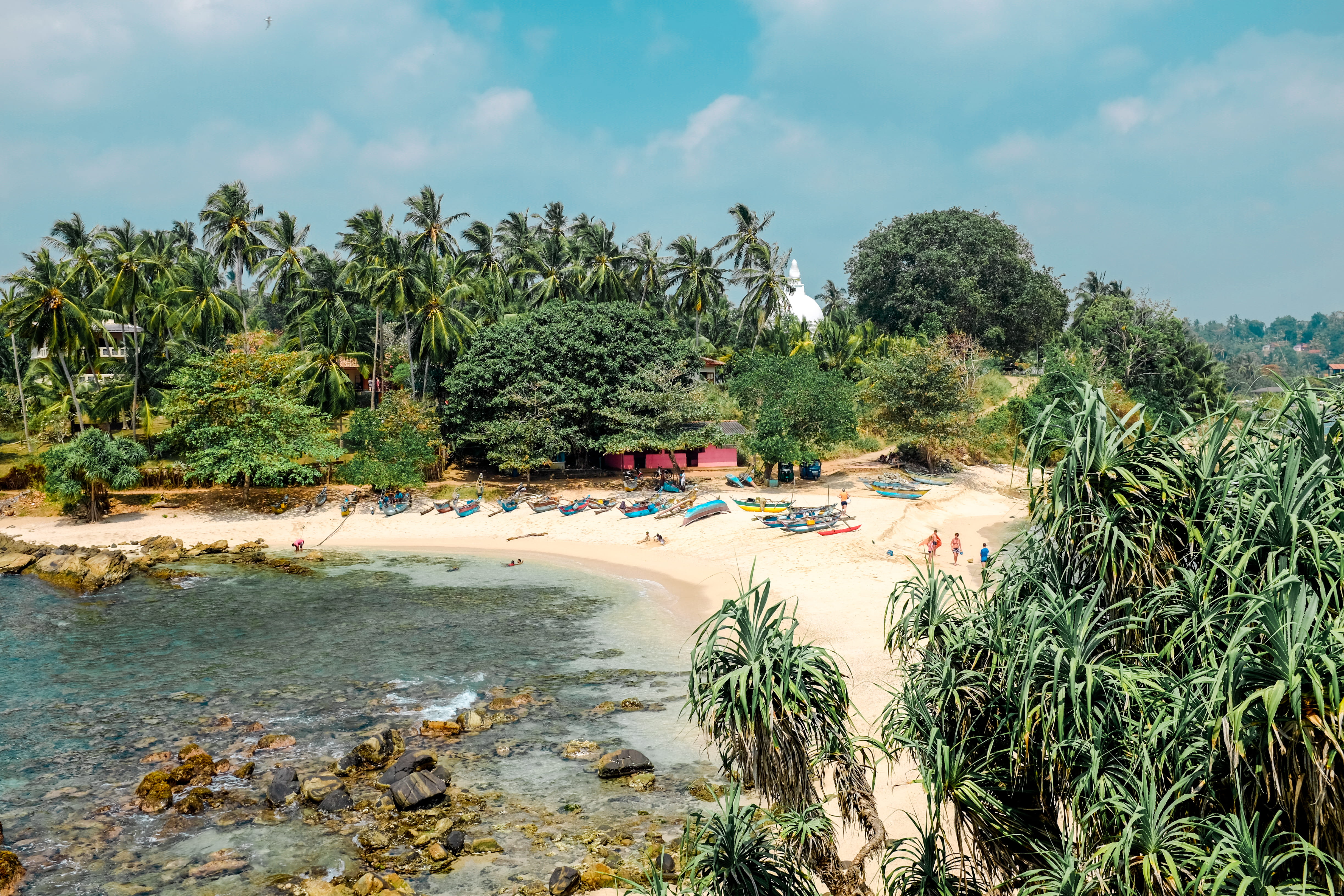 shoreline, nilwella, sea, green, day, tree, cloud - sky, coast, sri lanka, outdoors, plant, 4K, near, green color, beauty in nature, water, palm tree, HD Wallpaper