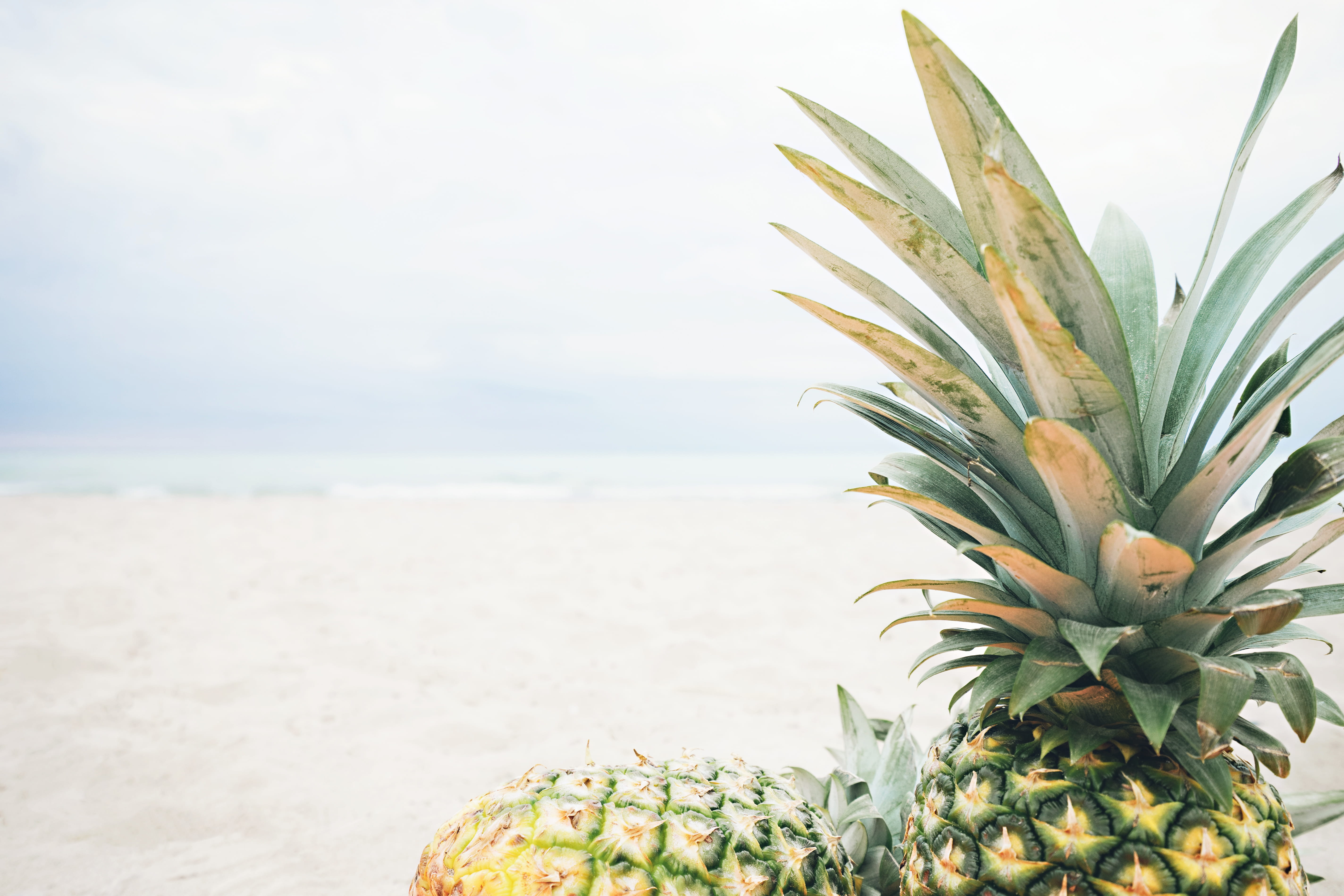 tropical fruit, no people, port stanley, day, watermelon, dish, nature, beauty in nature, sea, food and drink, mango, 5K, water, horizon over water, meal, HD Wallpaper