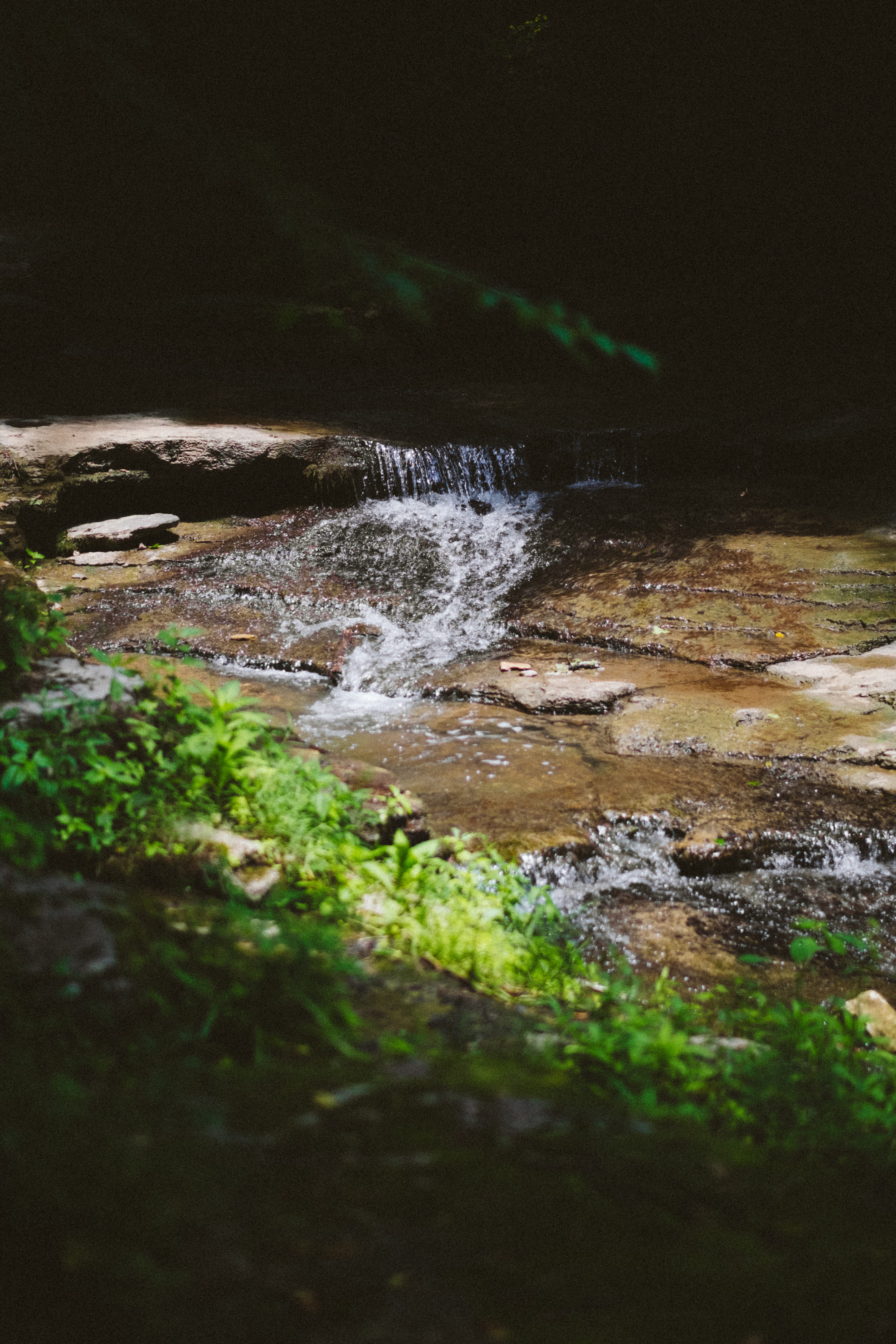 scenics - nature, flowing, raven run nature sanctuary, power in nature, motion, green, water, day, green color, lexington, land, united states, river, forest, Phone HD Wallpaper
