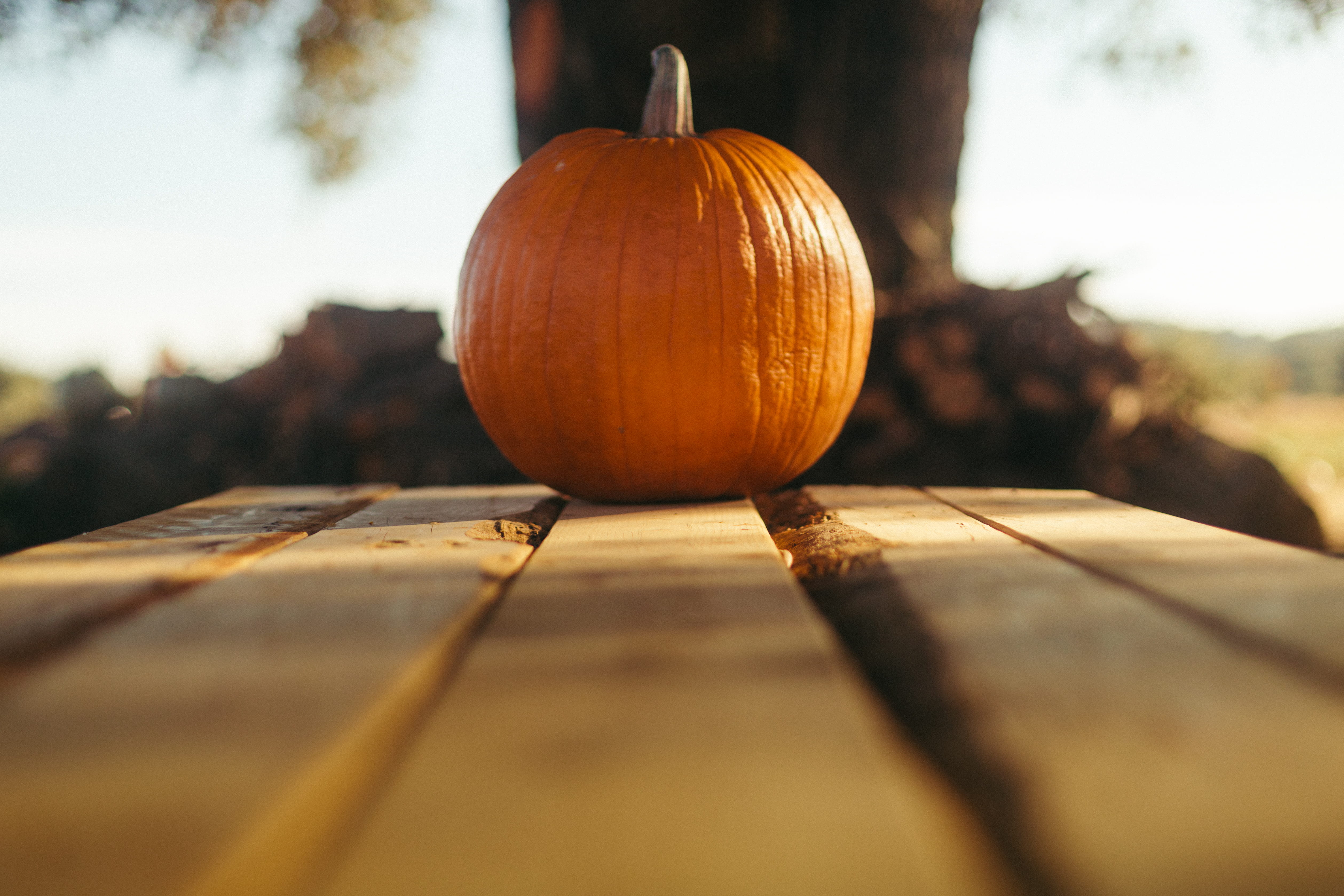 wood, close-up, table, tree, vegetable, pumpkin, orange color, rustic, halloween, healthy eating, room for type, focus, brown, food and drink, no people, HD Wallpaper