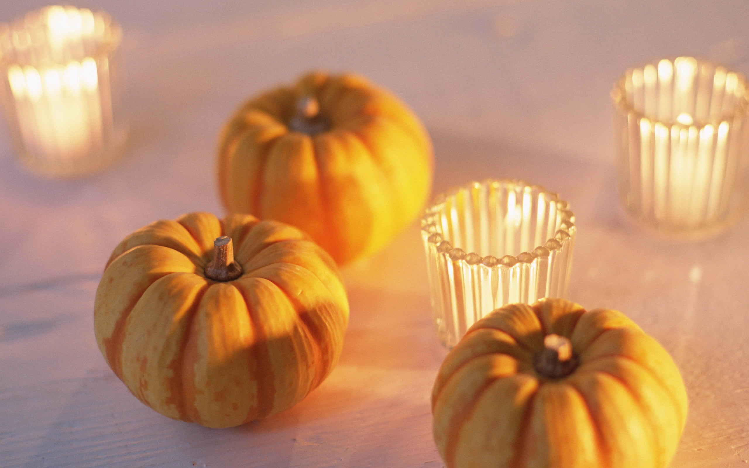 focus on foreground, autumn, studio shot, indoors, copy Space, ornate, three, still Life, food and drink, thanksgiving, light, holiday - event, pumpkin, HD Wallpaper
