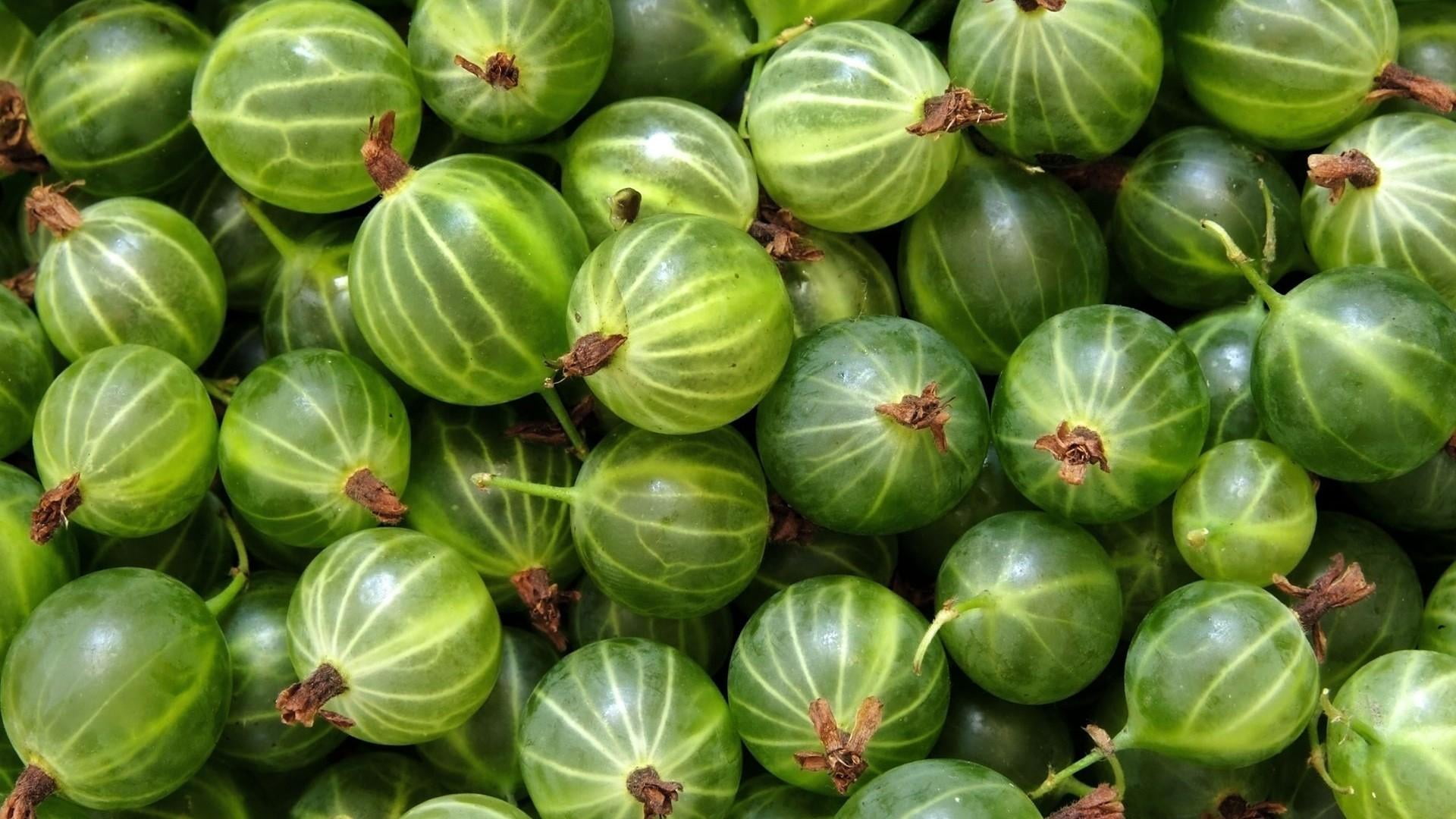 market, yellow, abundance, repetition, fresh, wellbeing, day, vegetable, sweet, healthy eating, high angle view, for sale, natural, acorn squash, food and drink, HD Wallpaper