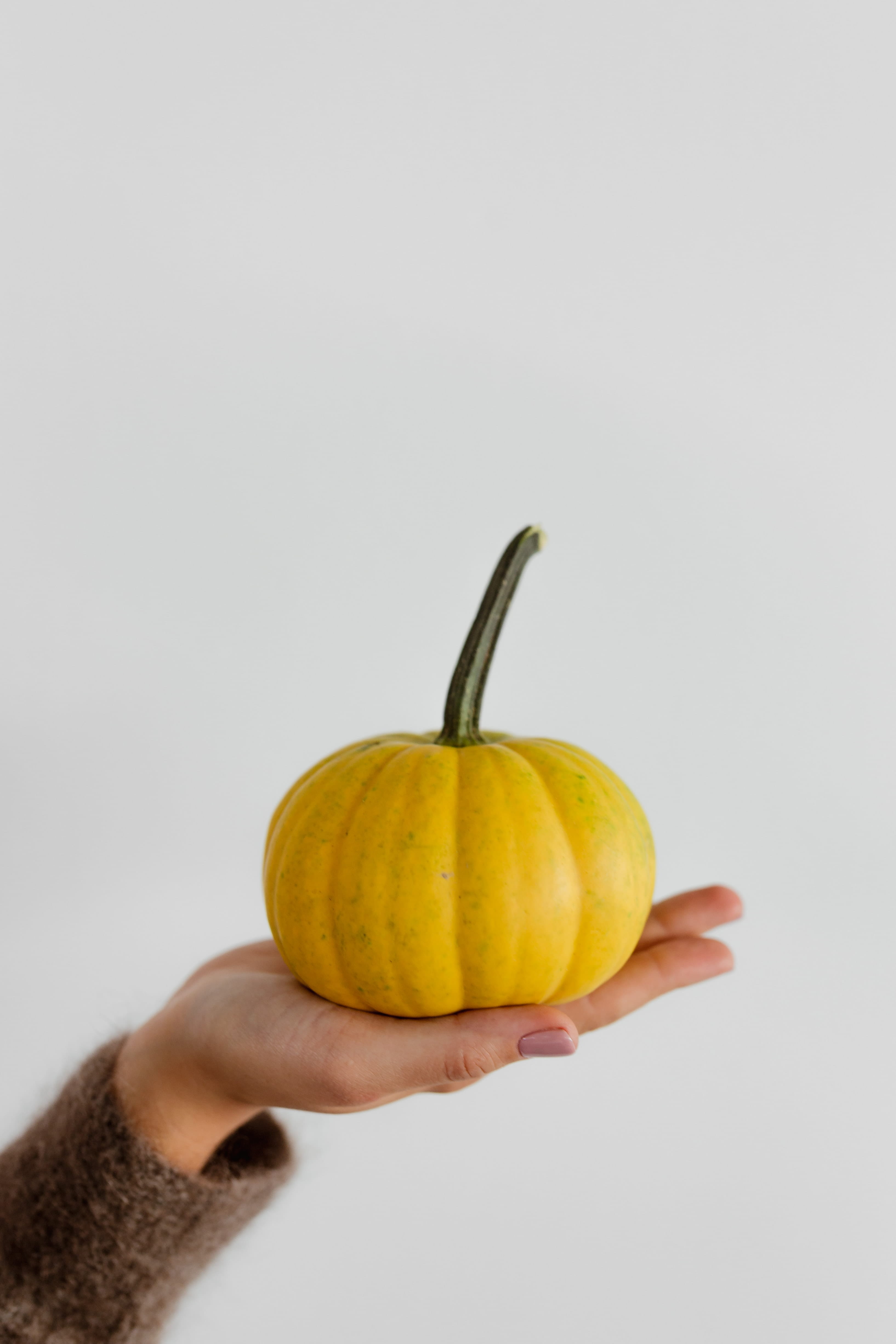healthy eating, hand, sweater, close-up, healthy lifestyle, freshness, ripe, pumpkin, human body part, fruit, holding, women, vegetable, copy space, 4K, Phone HD Wallpaper