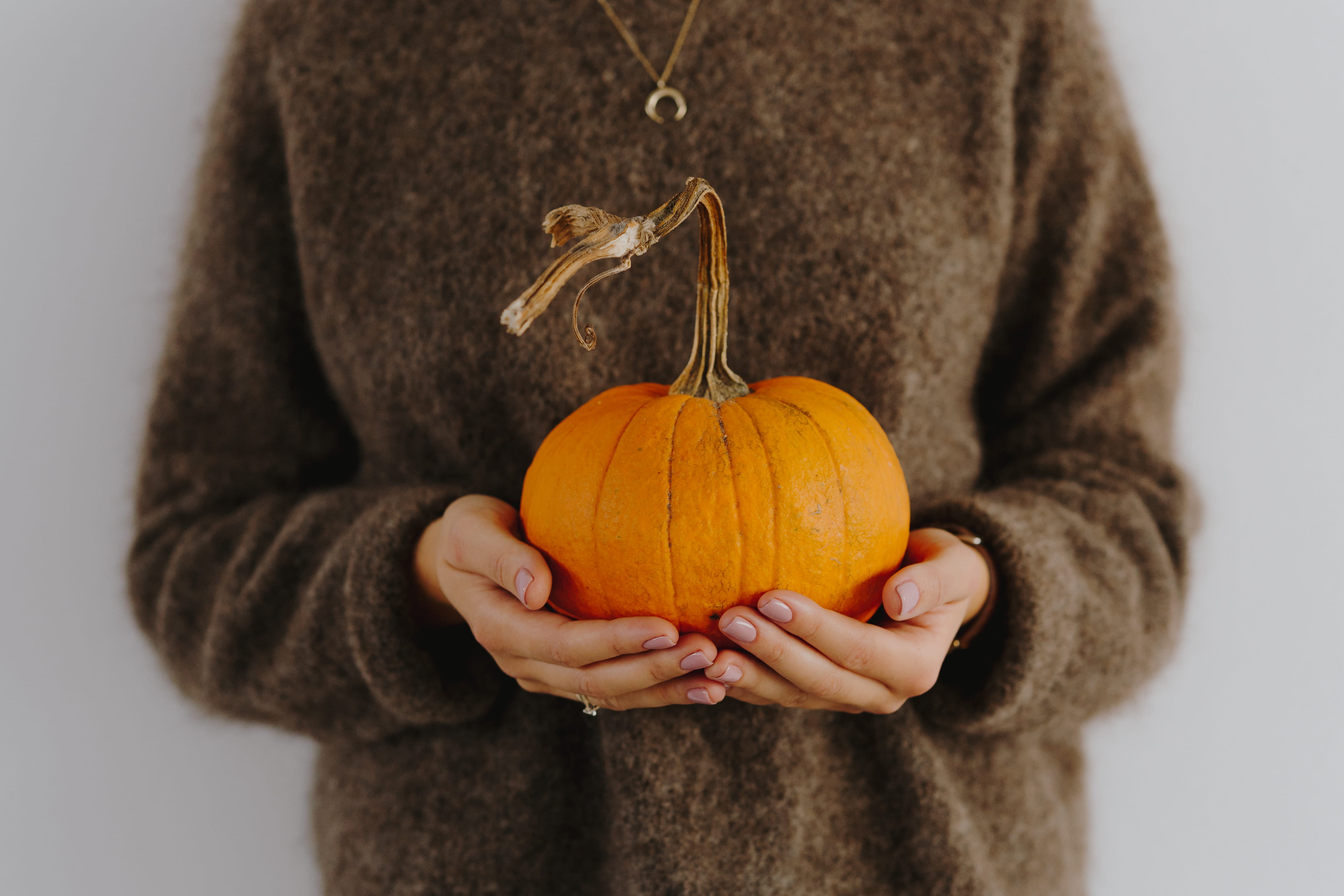 autumn, studio shot, fall, warm clothing, female, food and drink, front view, s, pumpkin, orange, orange color, 5K, midsection, standing, hand, healthy eating, HD Wallpaper