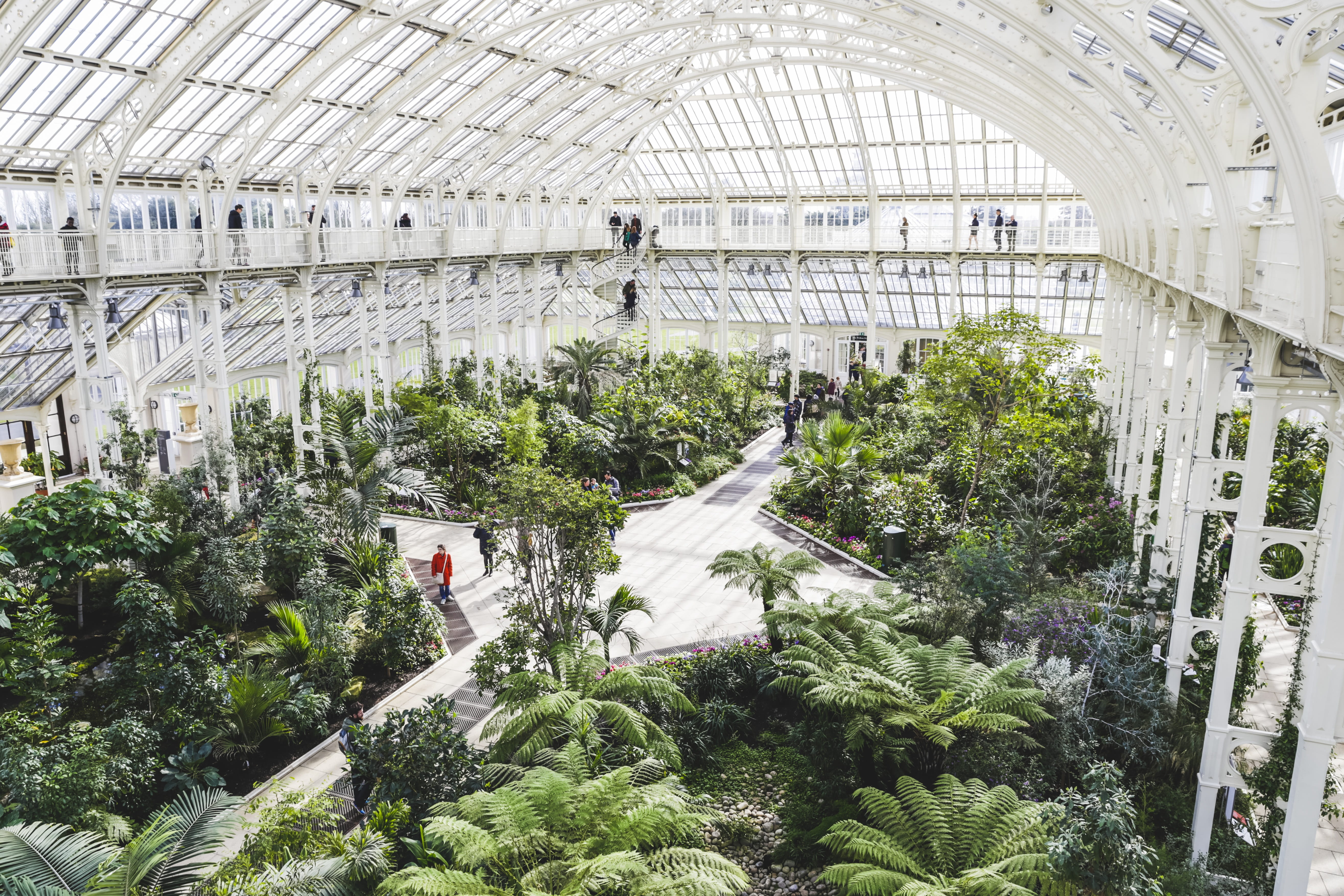 jungle, natural, trees, transportation, high angle view, incidental people, sunlight, london, group of people, park, water, greenhouse, spring, built structure, HD Wallpaper