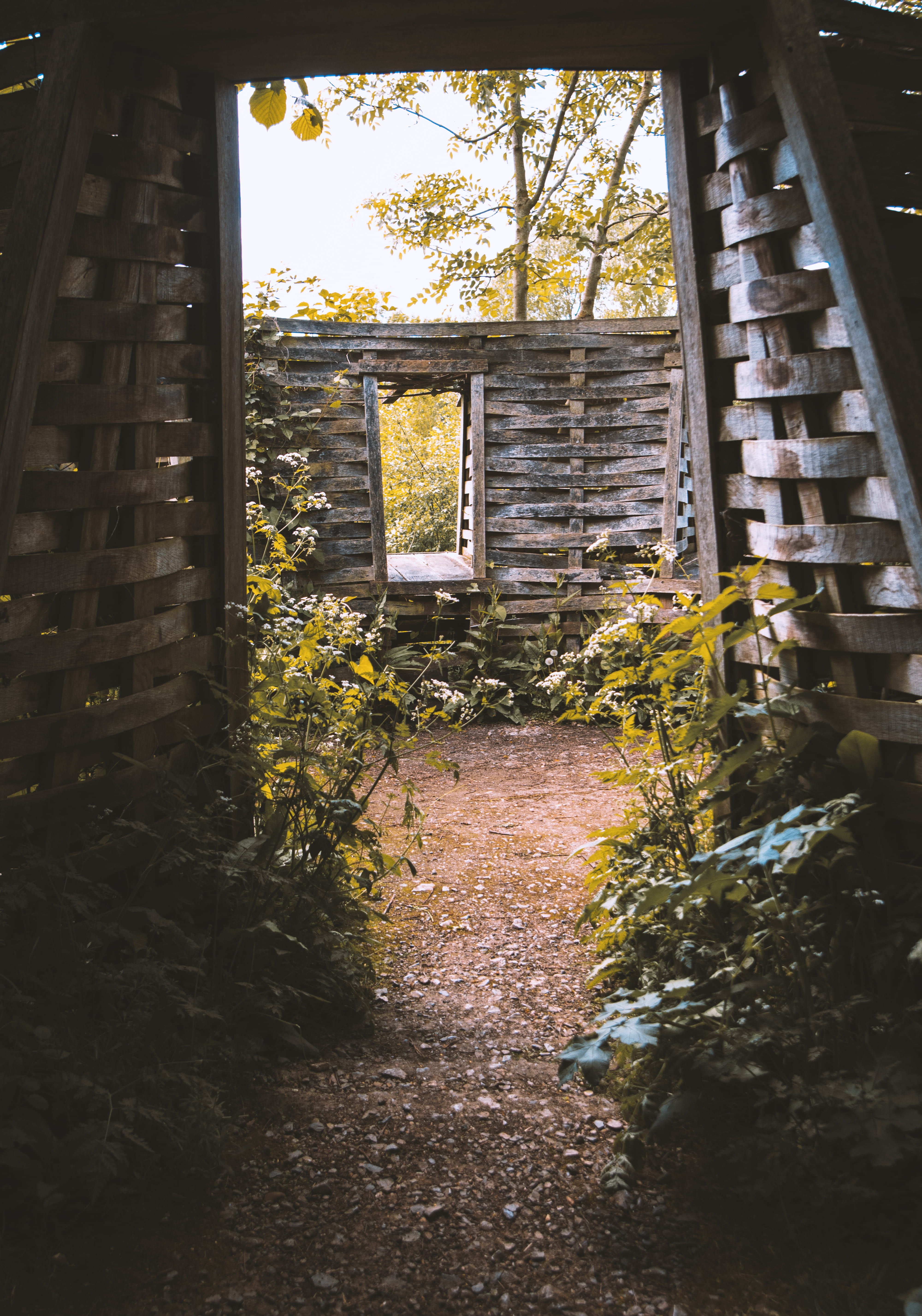 5K, growth, nature, window, garden, abandoned, royal botanic gardens, house, texture, residential district, the way forward, plant, sky, building exterior, Phone HD Wallpaper