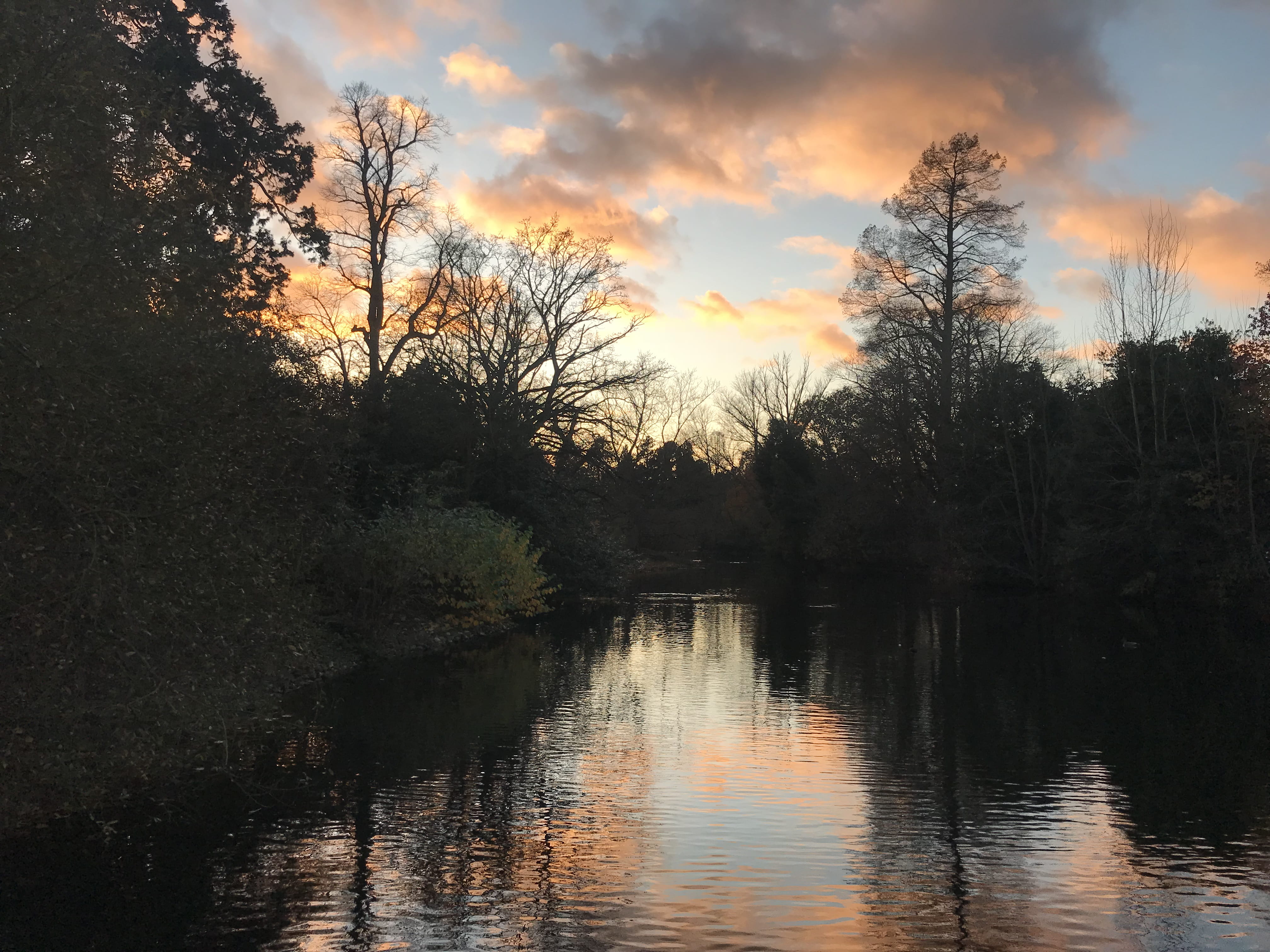 idyllic, waterfront, lake, water, no people, non-urban scene, trees, kew gardens, plant, richmond, scenics - nature, beauty in nature, sunset, reflection, HD Wallpaper