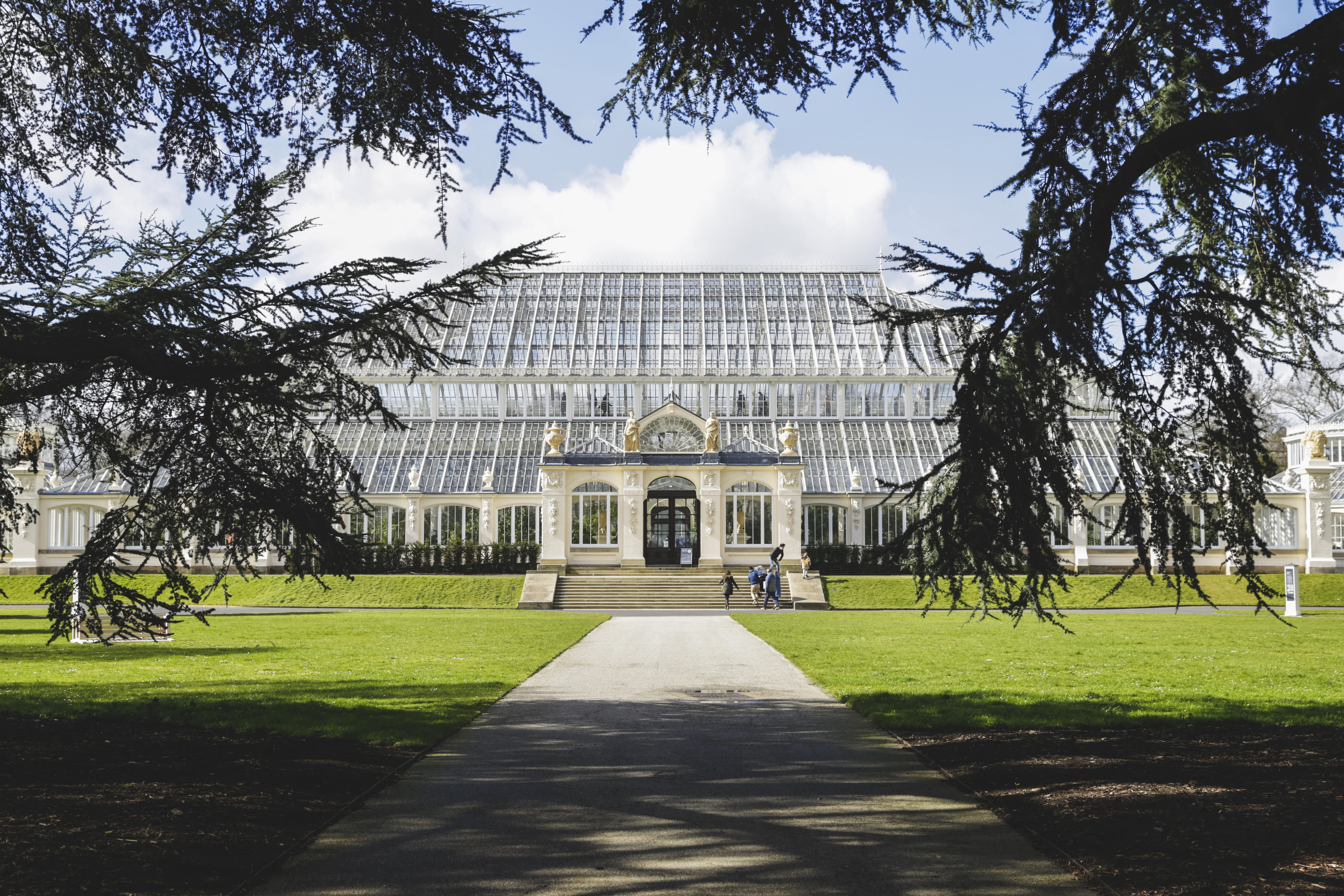 outdoor, blossom, london, flora, the way forward, sunlight, park, 5K, day, rose, building exterior, romantic, petal, kew garden, spring, architecture, HD Wallpaper