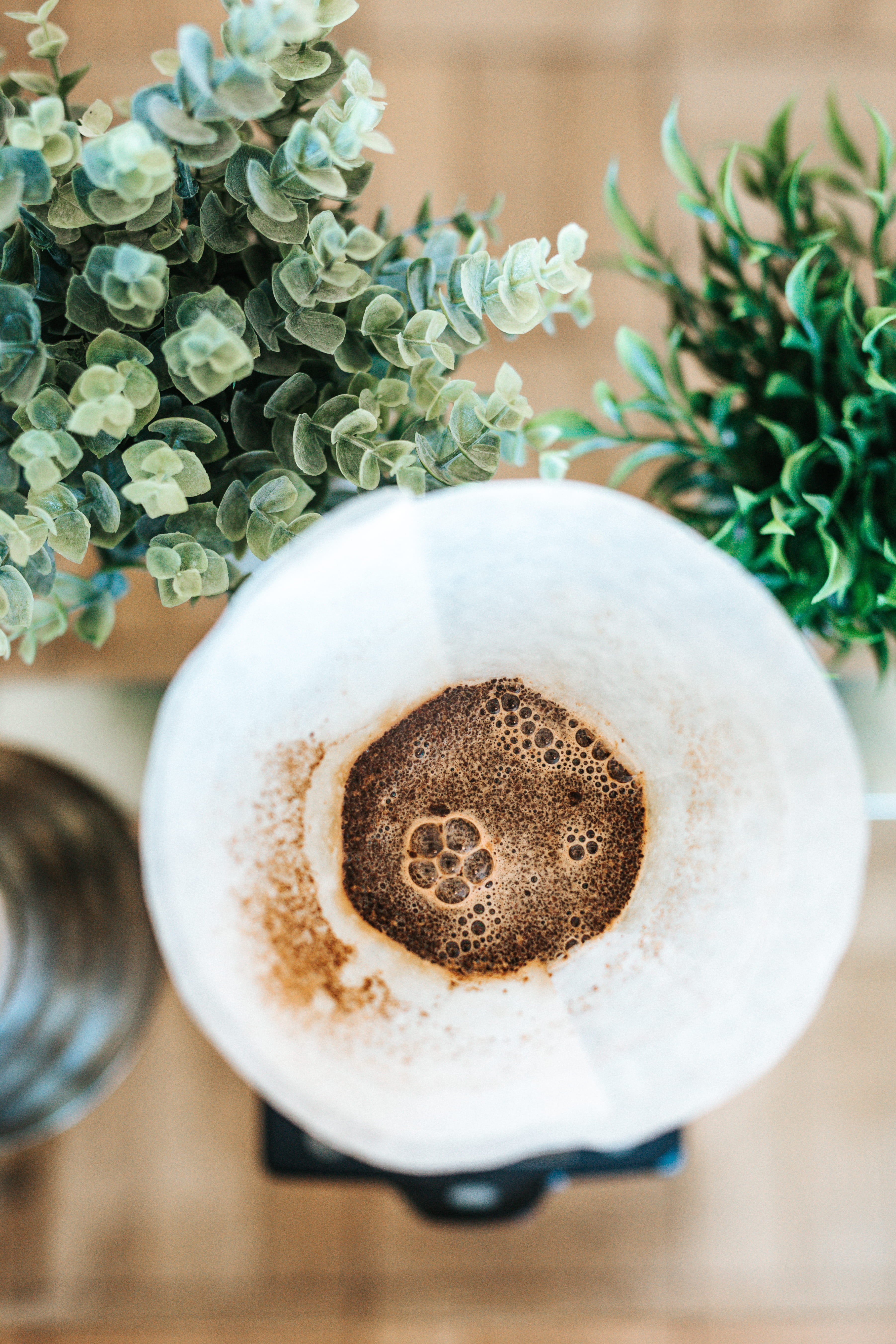 beside, mug, hot drink, flat, plant, still life, non-alcoholic beverage, filter, latte, white, coffee cup, green, flower pot, indoors, leaves, refreshment, Phone HD Wallpaper