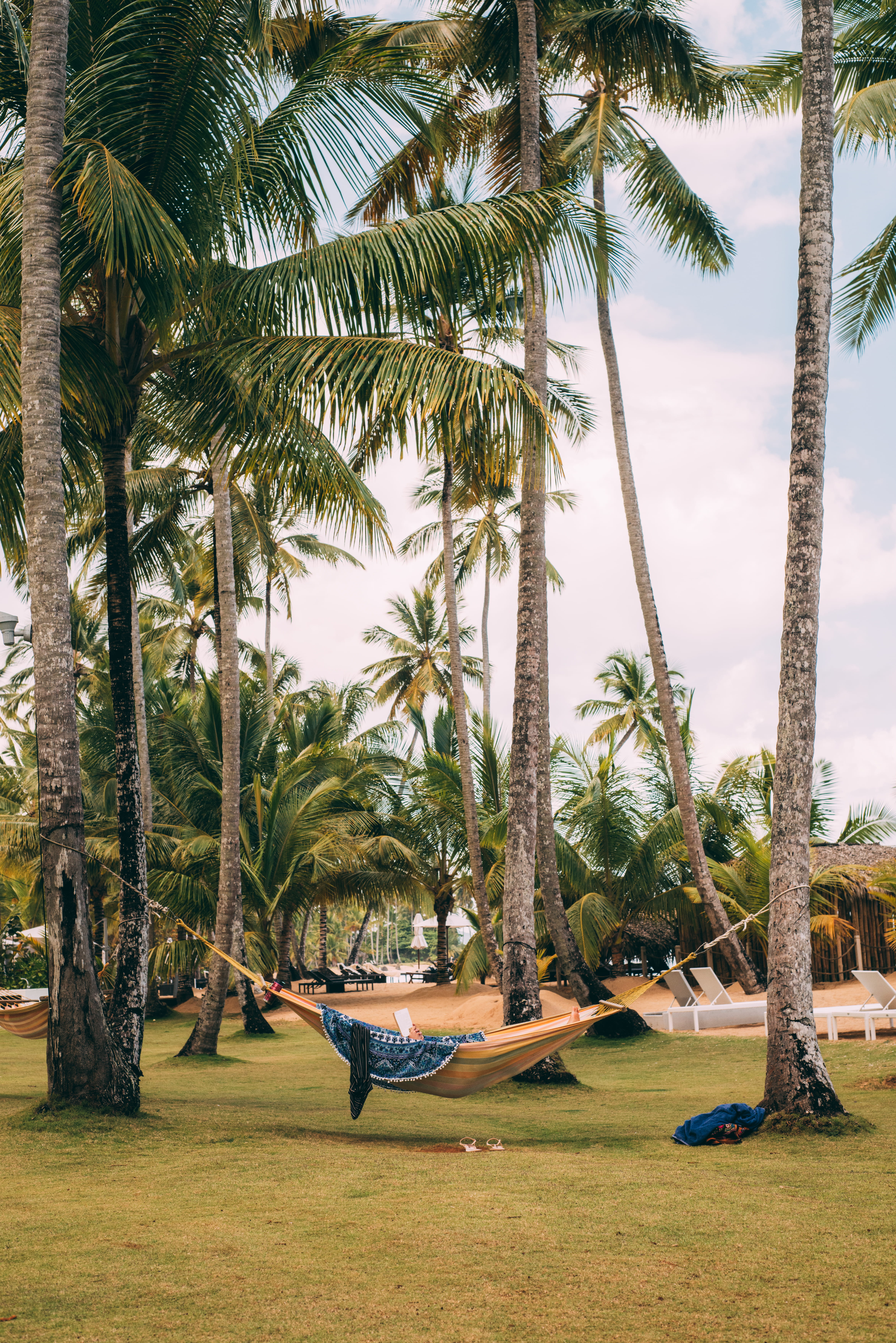 palm, scenic, palms, no people, beach, beauty in nature, travel, coconut, landscape, sky, green color, scenics - nature, outdoors, nature, 5K, green, daylight, Phone HD Wallpaper