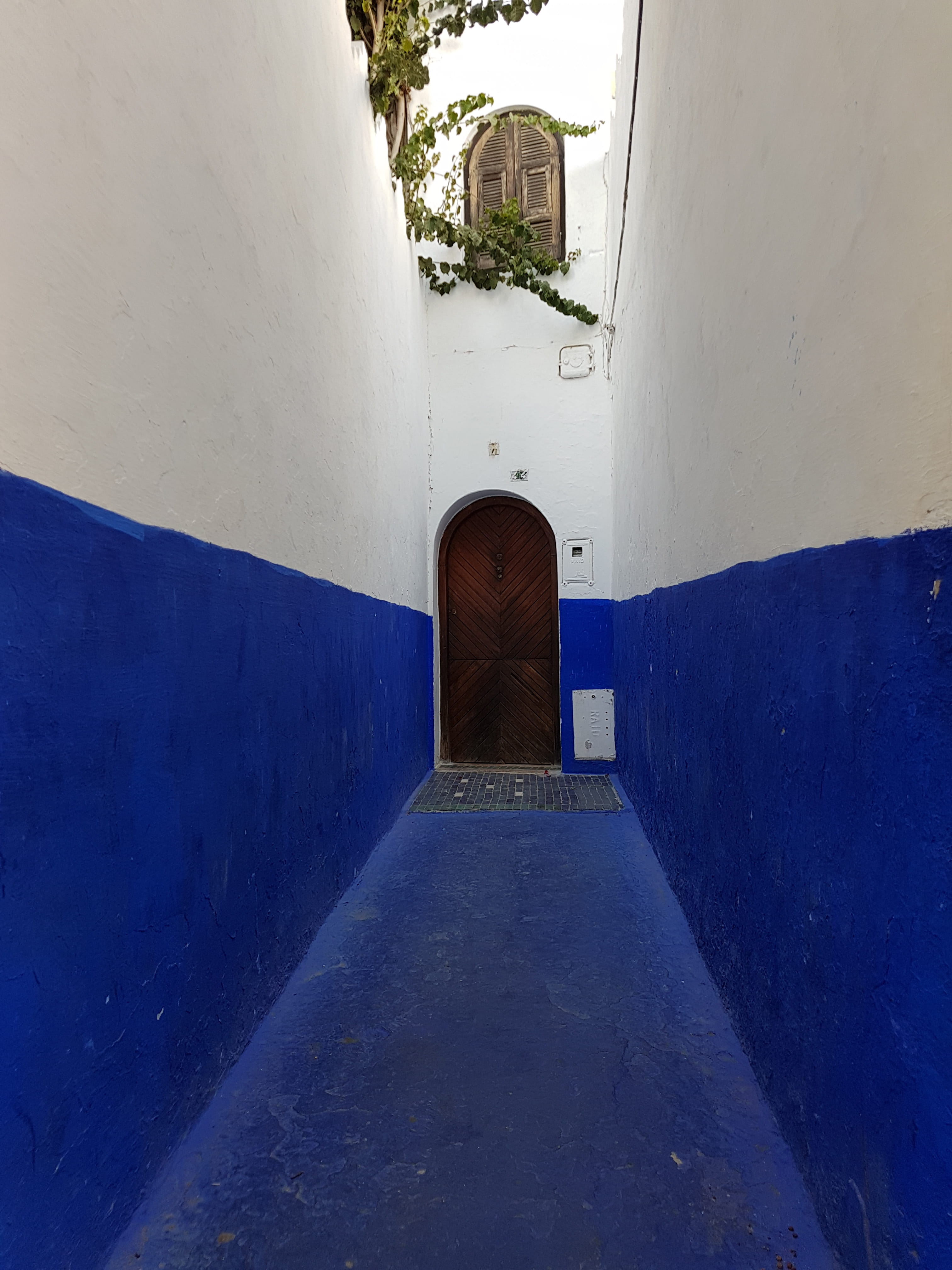 day, morocco, entrance, window, the way forward, chefchaouen, chefchouen, nature, my morocco, arch, blue, wall - building feature, outdoors, architecture, Phone HD Wallpaper