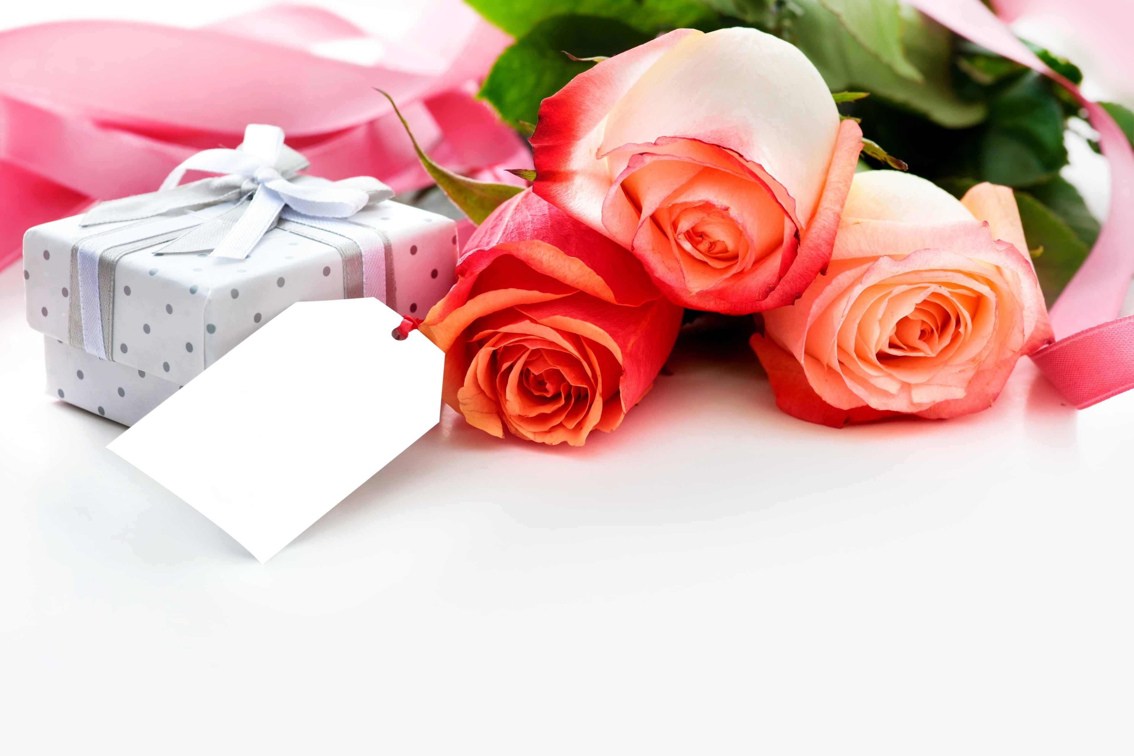 plant, gift, inflorescence, petal, ribbon - sewing item, rose - Flower, three, mothers Day, beauty in nature, isolated, white, rose, greeting, nature, single Flower, HD Wallpaper