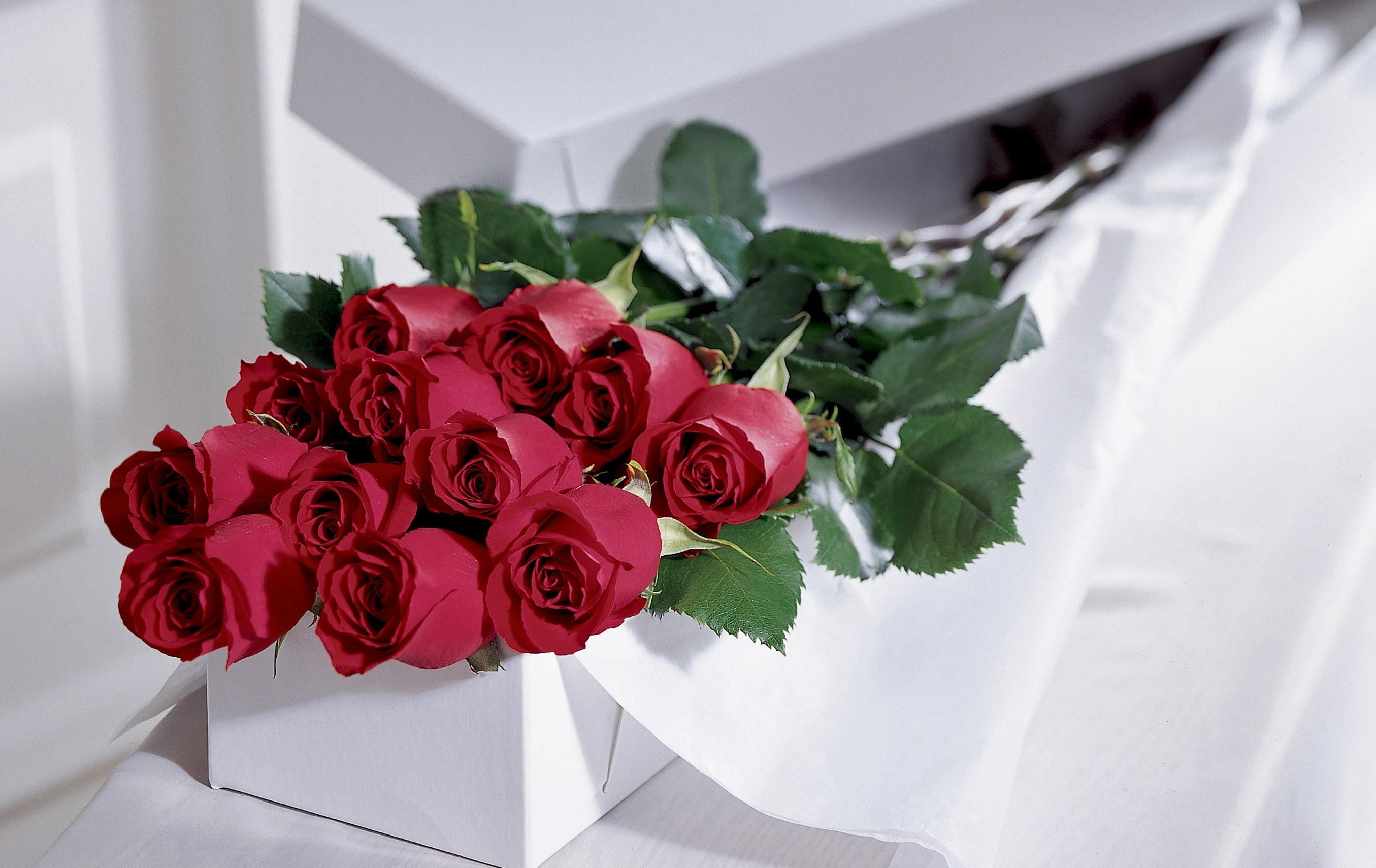 romance, bouquet, plant, flower arrangement, close-up, greeting, day, wedding, love, flower head, nature, fragility, no People, petal, vulnerability, event, HD Wallpaper