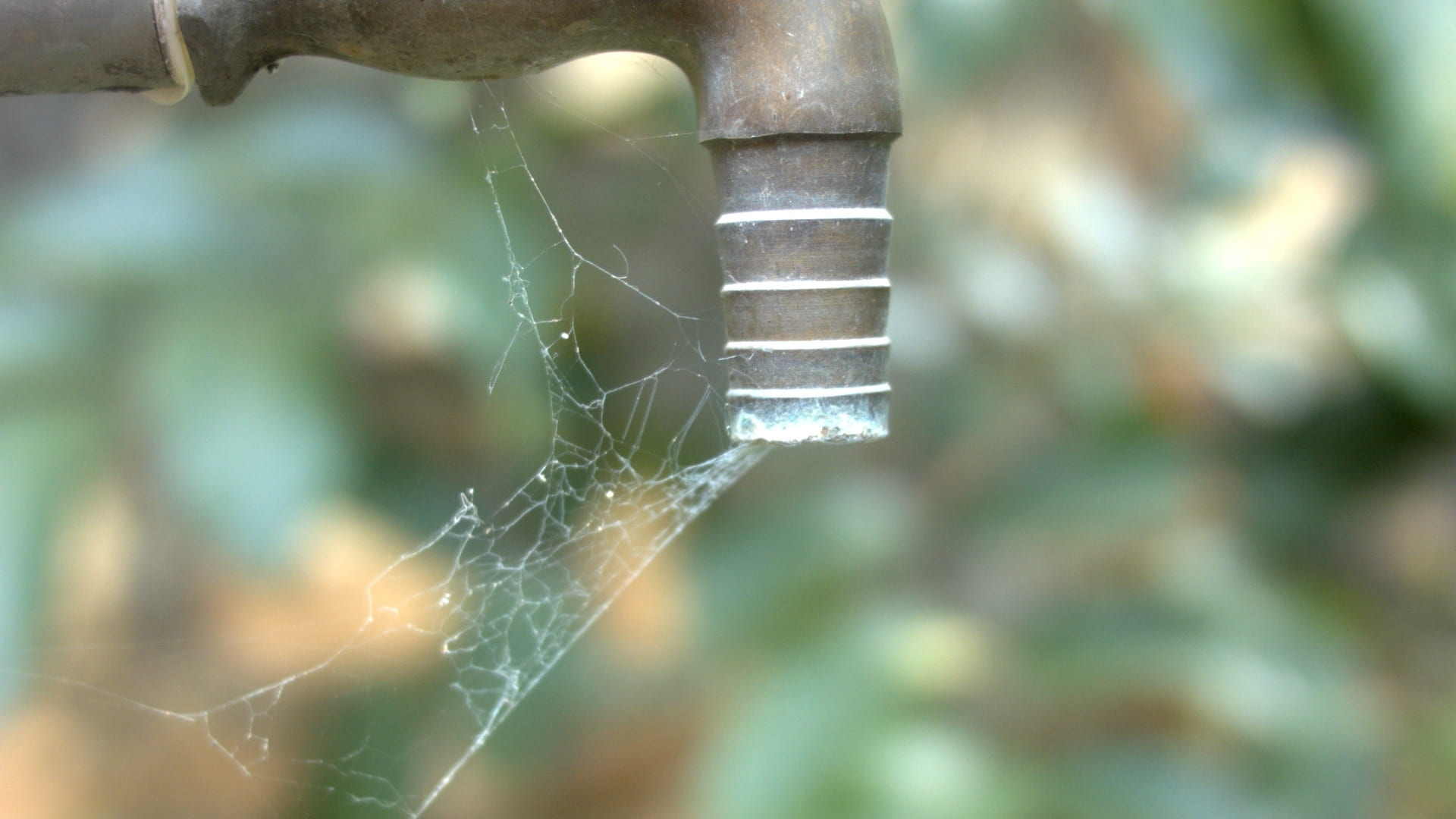 spider web, focus on foreground, plant, tap, industry, water, drought, outdoors, metal, vulnerability, silver colored, no water, fragility, day, old, growth, HD Wallpaper