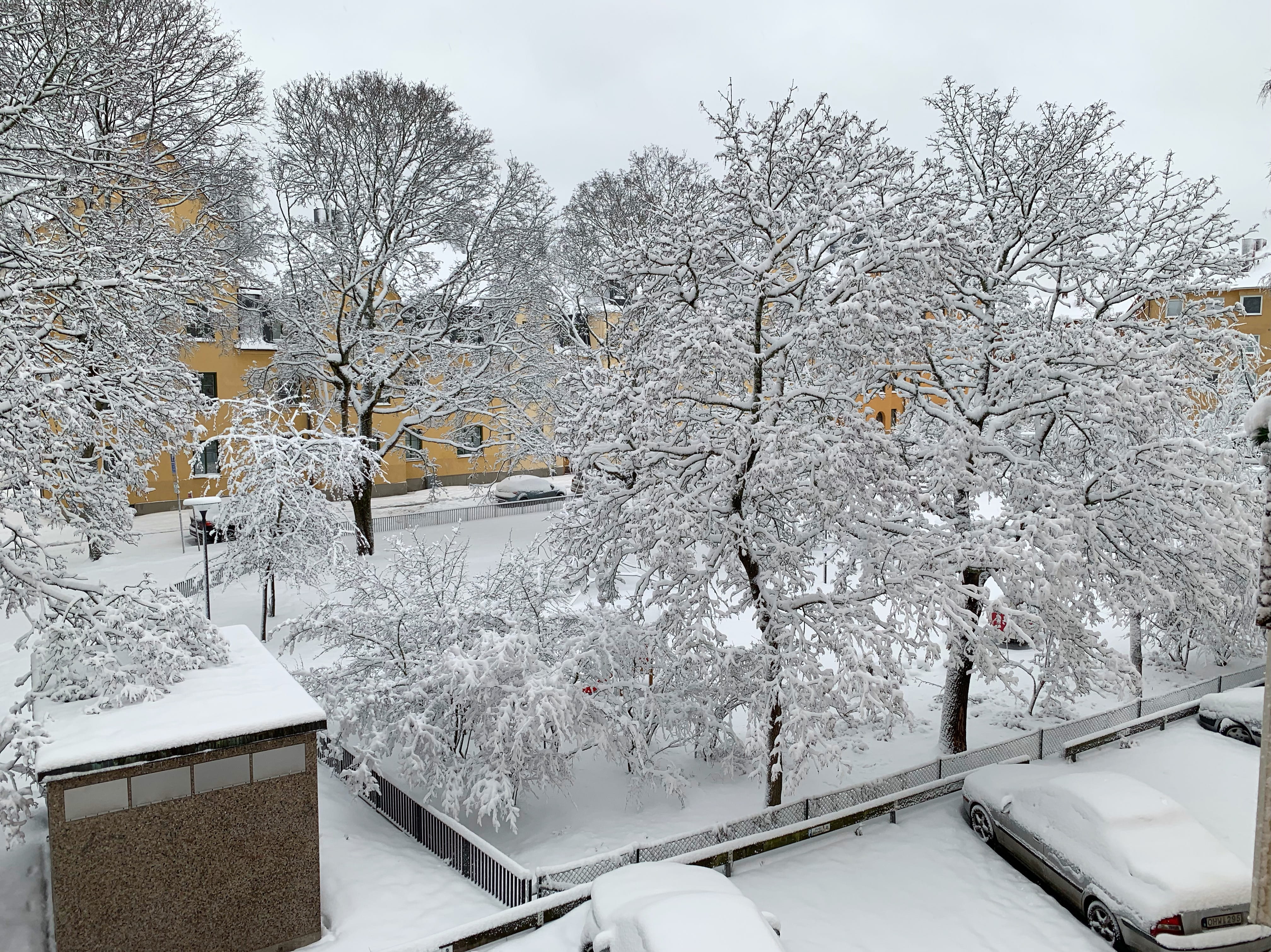 snowing, landscape, white color, neighborhood, vehicle, automobile, building, frozen, winter, blizzard, transportation, ice, beauty in nature, branch, tree, HD Wallpaper
