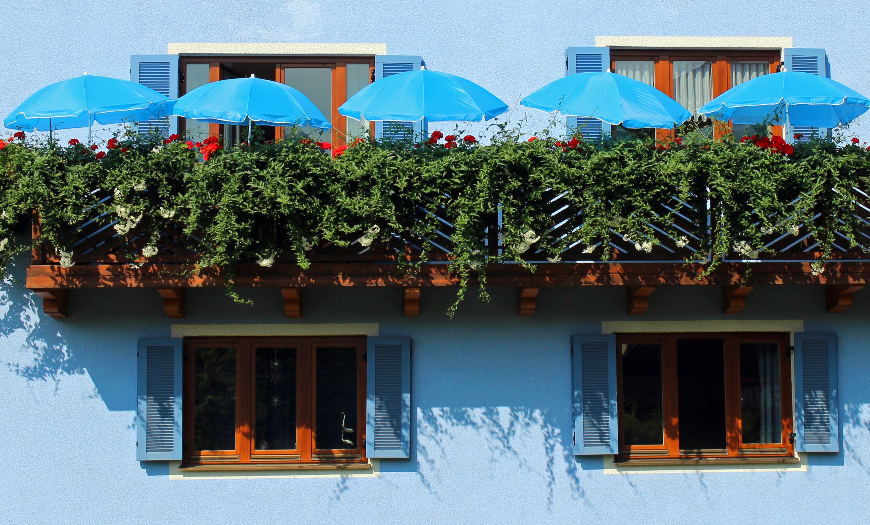 architecture, home front, sunlight, house facade, roof, outdoors, building, flowers, decoration, window, tree, day, built structure, house, balconies, growth, HD Wallpaper
