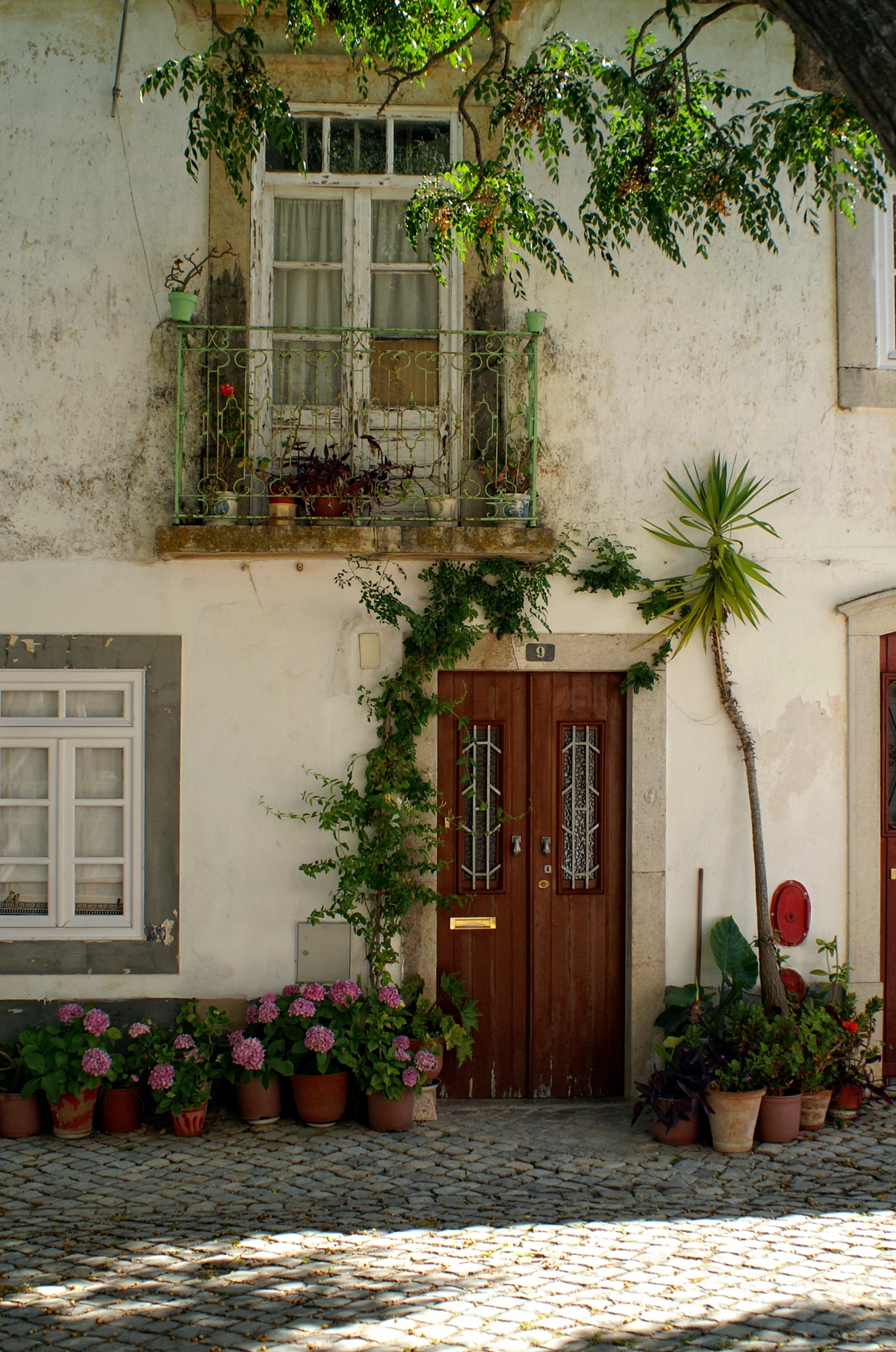absence, flower, flower pot, houseplant, no people, architecture, outdoors, potted plant, courtyard, nature, flowering plant, entrance, growth, door, plant, Phone HD Wallpaper