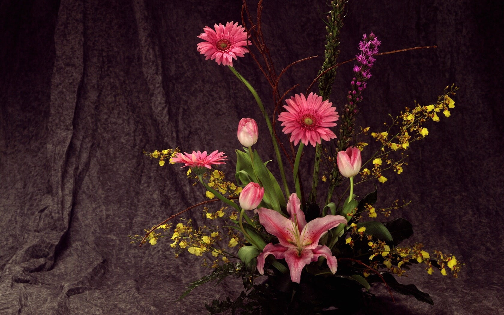 day, season, ikebana, daisy, plant part, botany, plant, nature, flowers, song, petal, leaf, close-up, fragility, blossom, decoration, flower, vulnerability, HD Wallpaper