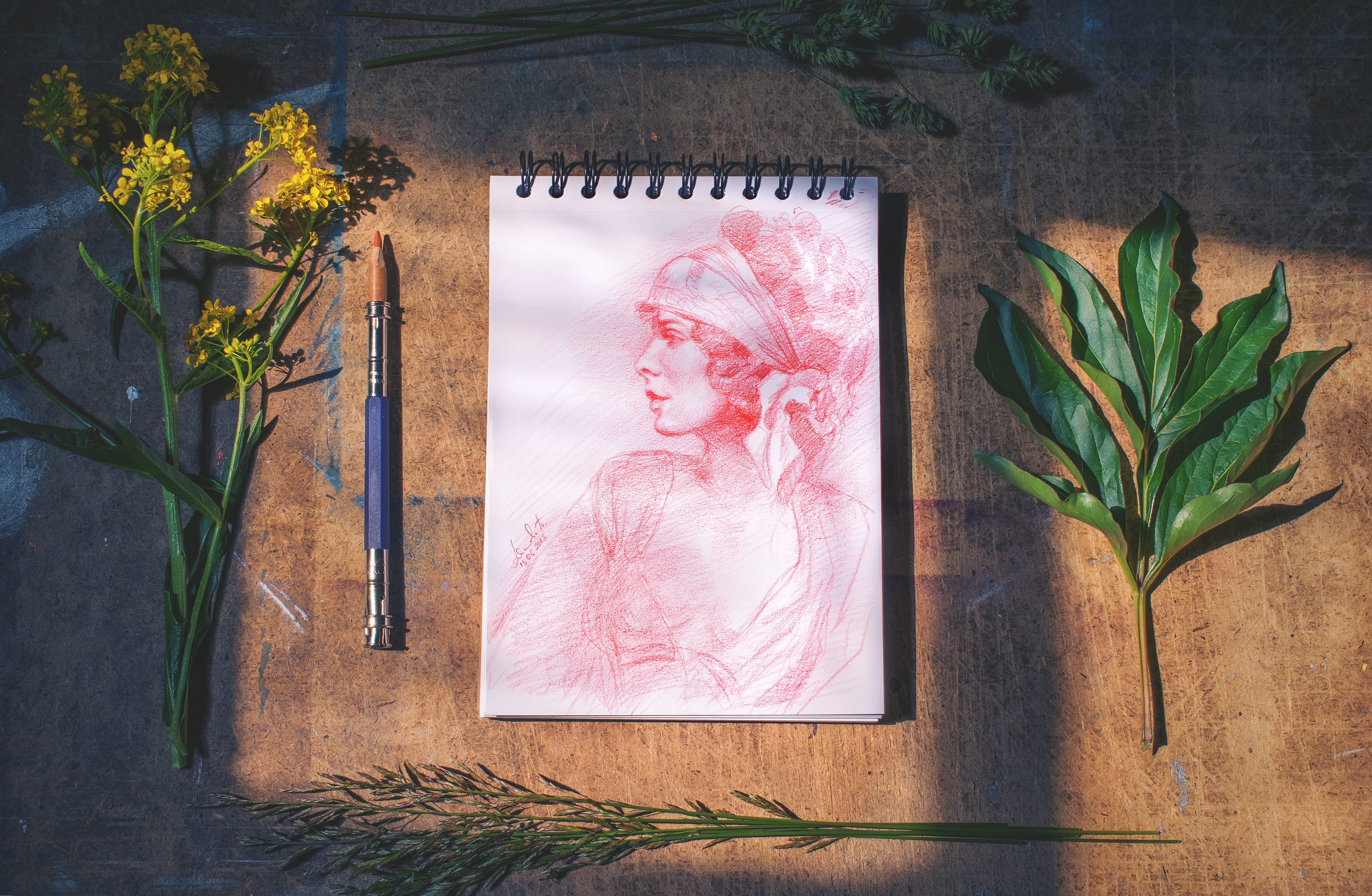 apiaceae, petal, red, pottery, sketch, 5K, vase, flower head, nature, ornament, day, jar, flowering plant, beauty in nature, outdoors, creativity, fragility, HD Wallpaper