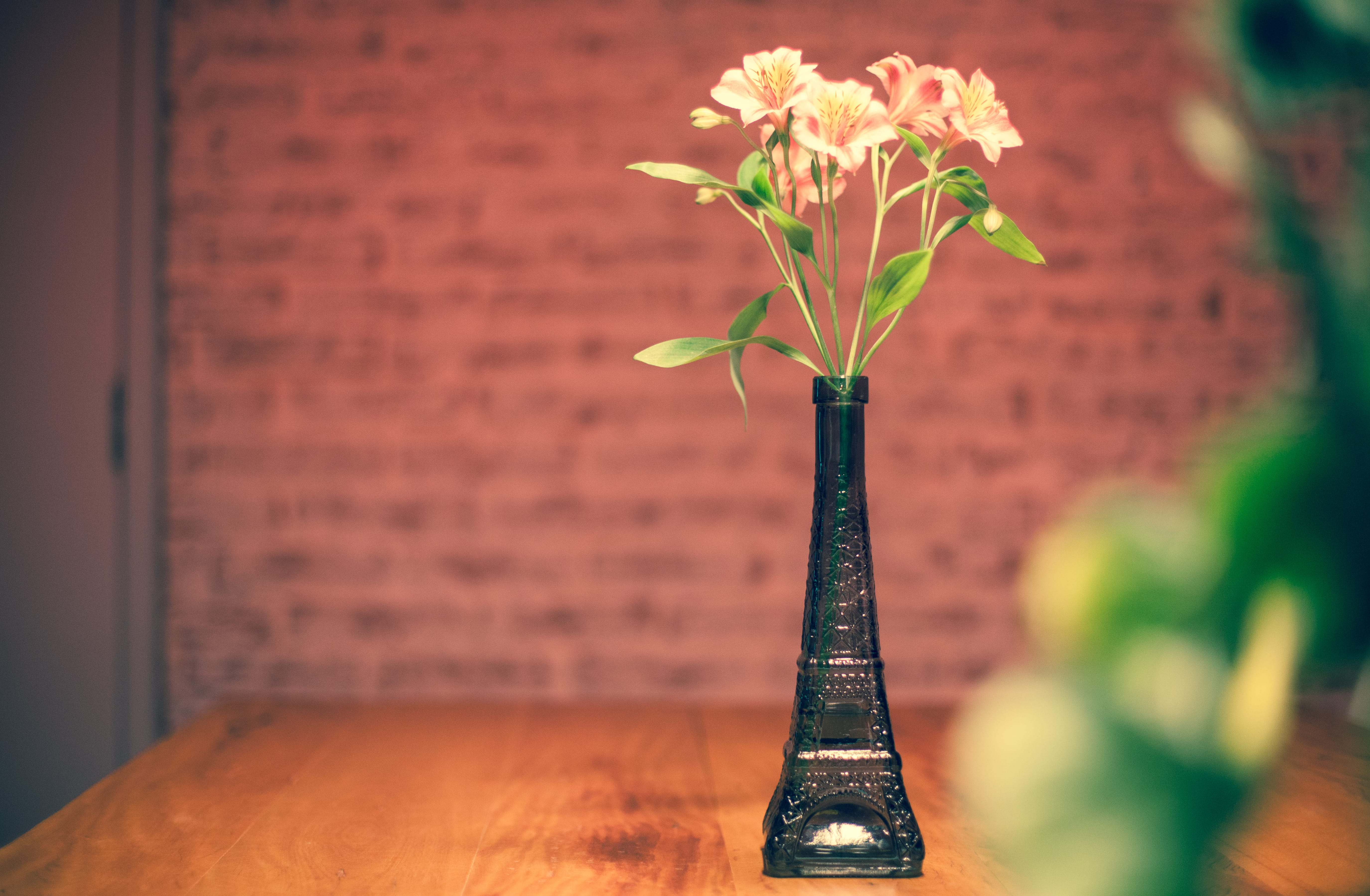 flooring, selective focus, lighting, plant, hardwood, brick, tabletop, wood, fragility, black, close-up, ikebana, petal, flower arrangement, freshness, HD Wallpaper