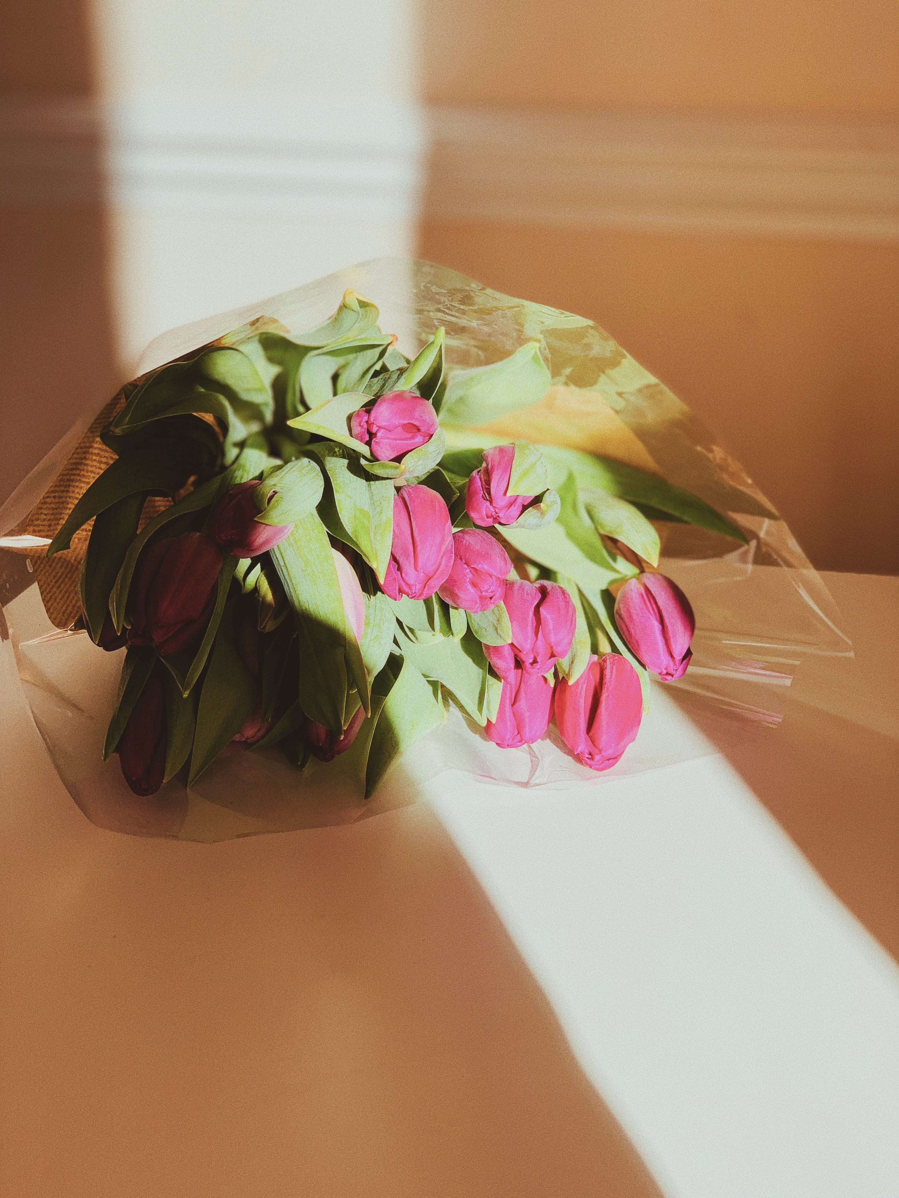 nature, flower head, close-up, rose - flower, food, no people, purple, citrus fruit, blossom, pink color, surface, flower, beauty in nature, pottery, white, Phone HD Wallpaper
