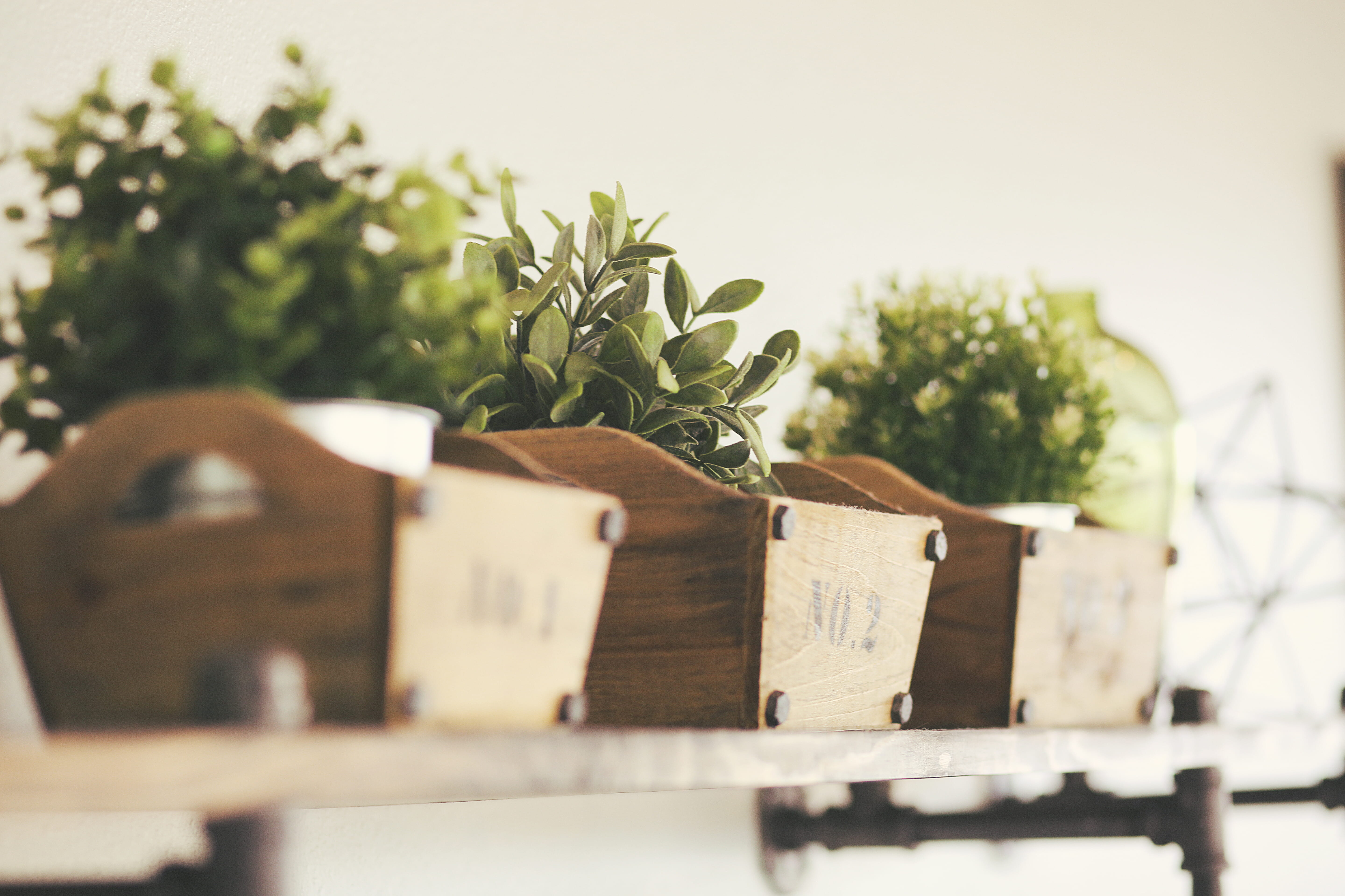 art, plant part, flora, close-up, potted plant, flower, office, plants, box, tree, ornament, flower arrangement, pottery, indoor plant, pot, crate, no people, HD Wallpaper