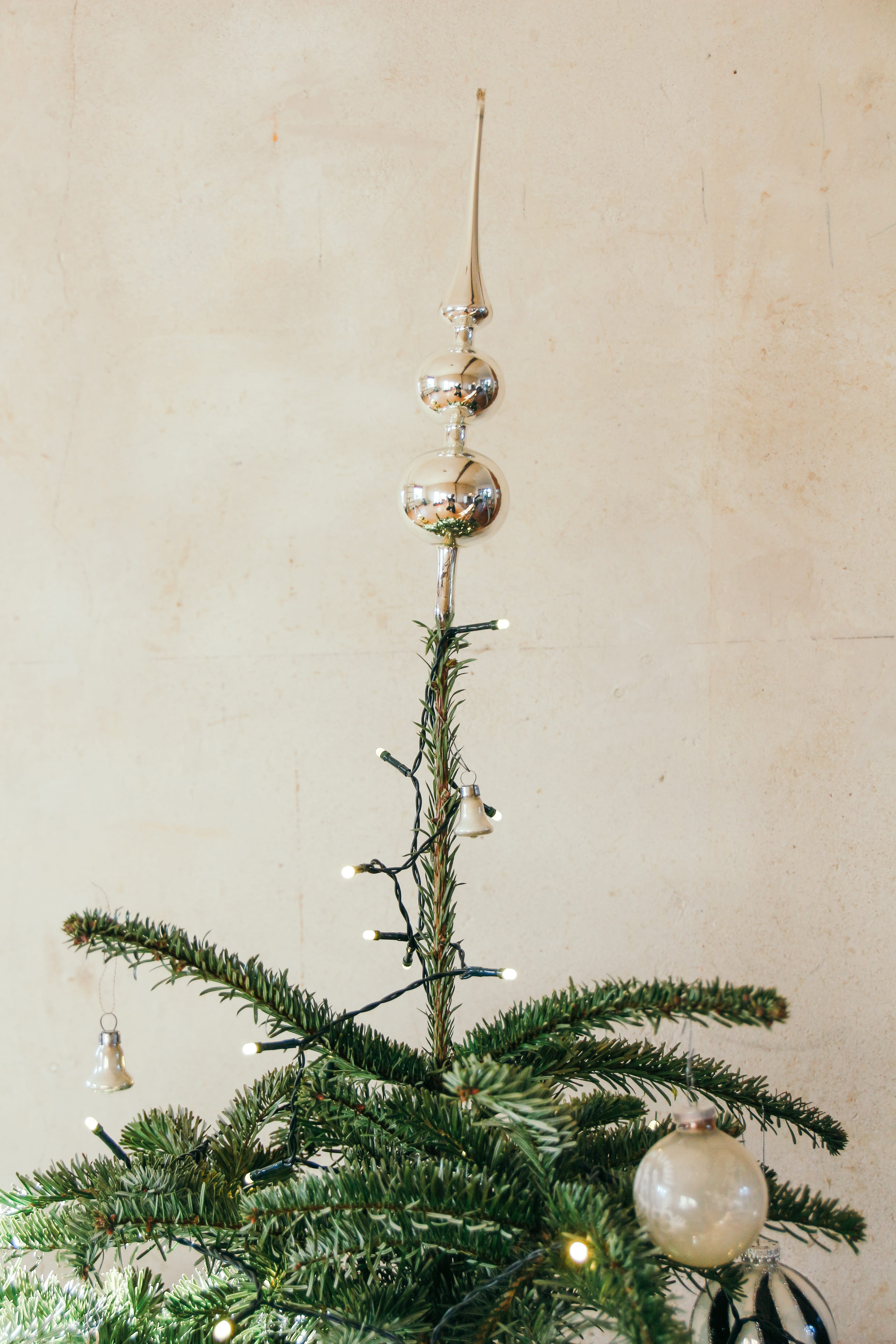 ikebana, plant, day, green color, christmas ornament, decoration, hanging, ornament, celebration, growth, conifer, christmas decoration, string, green, Phone HD Wallpaper