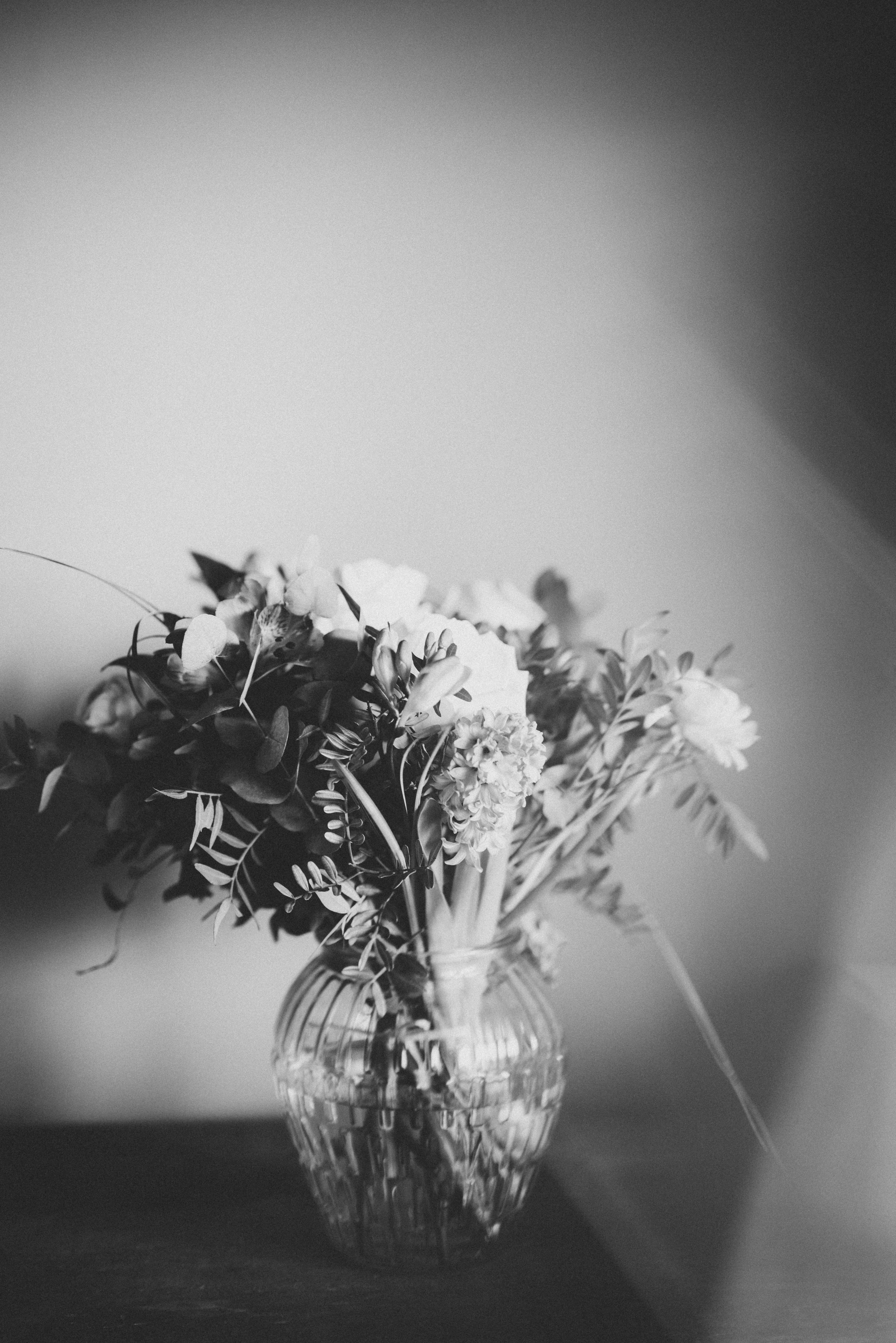 geranium, arrangement, ornament, jar, leaf, flowering plant, freshness, plant, pottery, petal, nature, fragility, no people, bouquet, flower, daisy, daisies, Phone HD Wallpaper