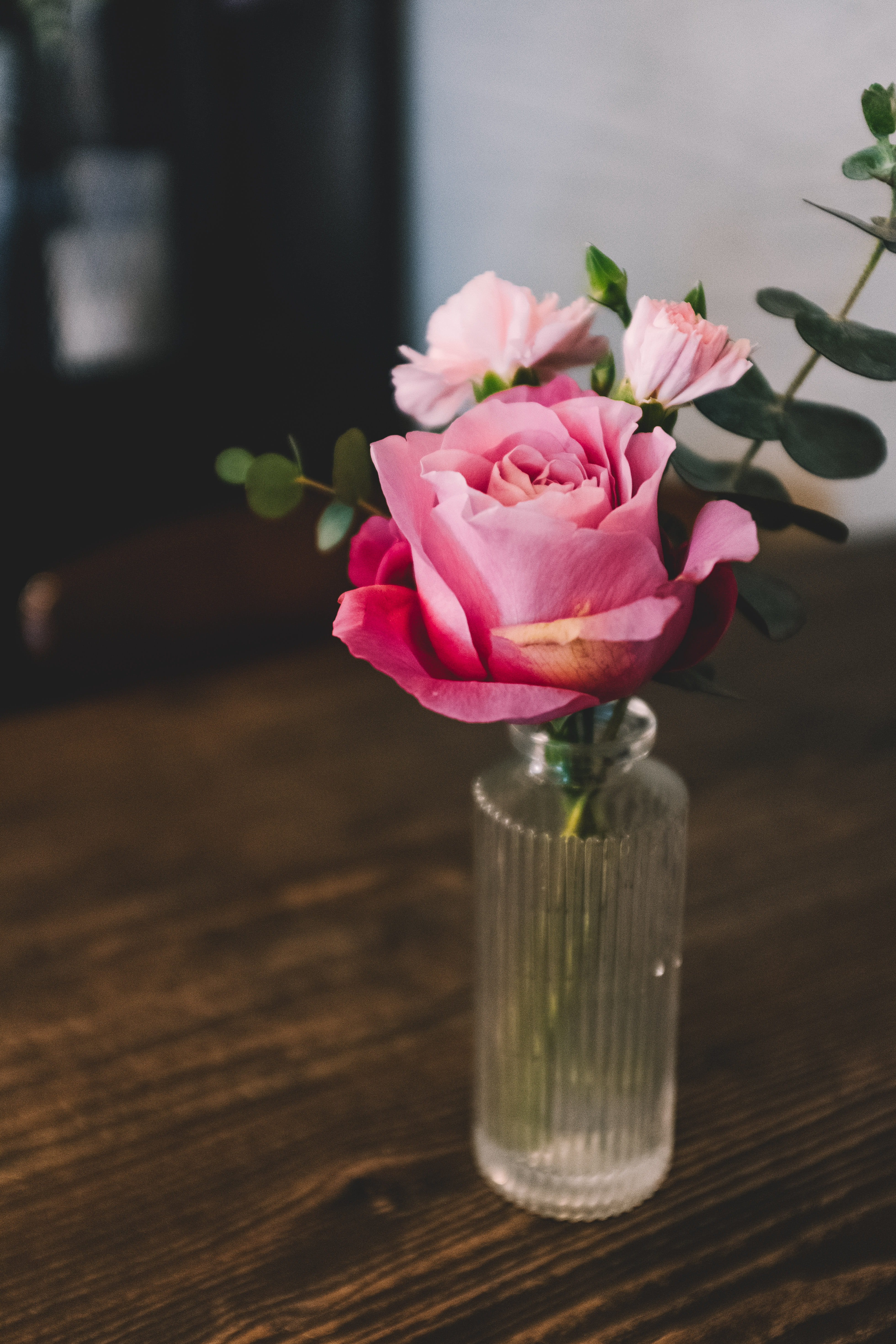 blossom, jar, pink, ornament, wood - material, indoors, goblet, inflorescence, flowering plant, flower bouquet, ikebana, peony, 5K, wood, hardwood, brown, Phone HD Wallpaper