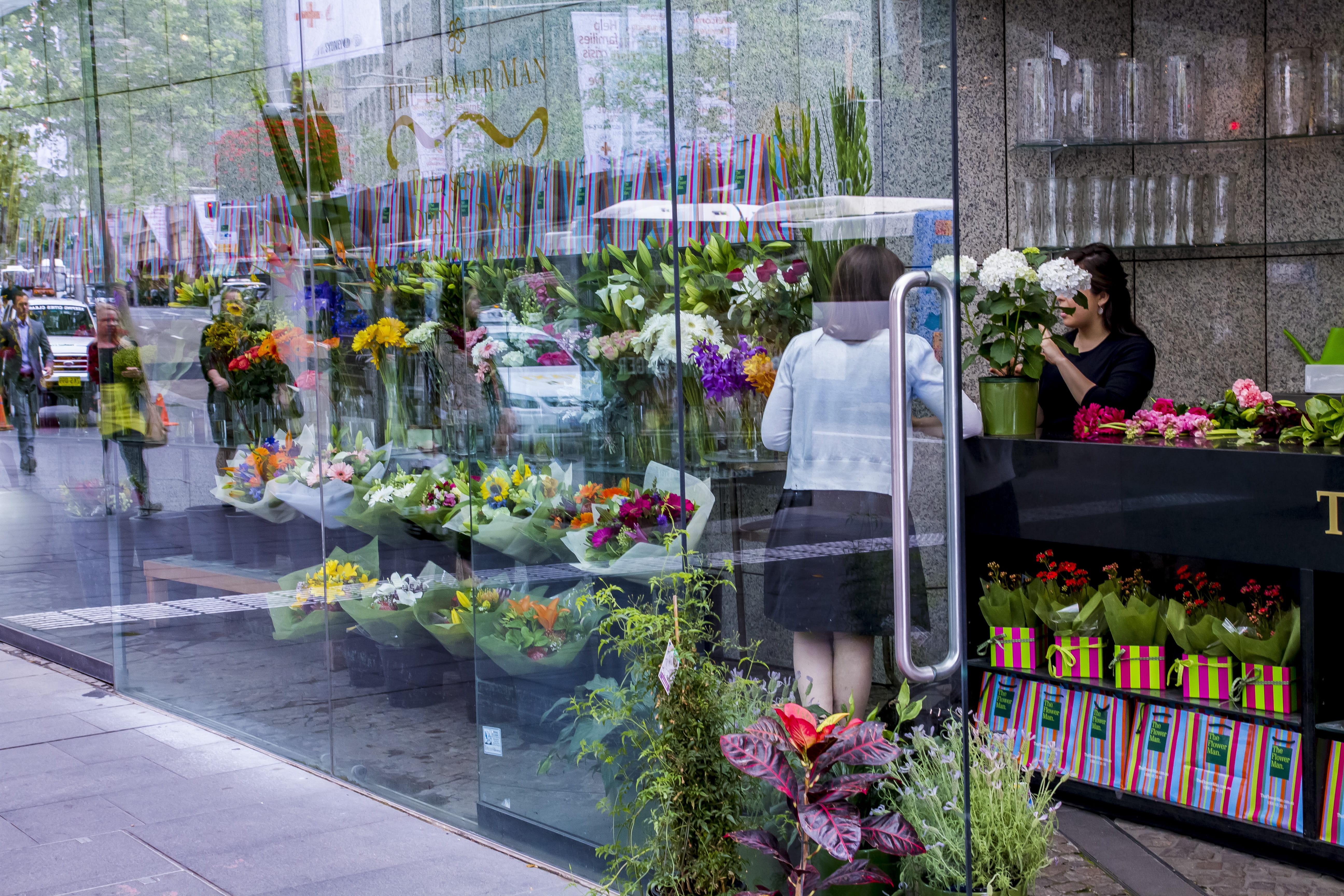 plant, ikebana, glass - material, store, flowers, for sale, pedestrian, reflection, sale, florist, person, flower arrangement, consumerism, blossom, flower bouquet, HD Wallpaper